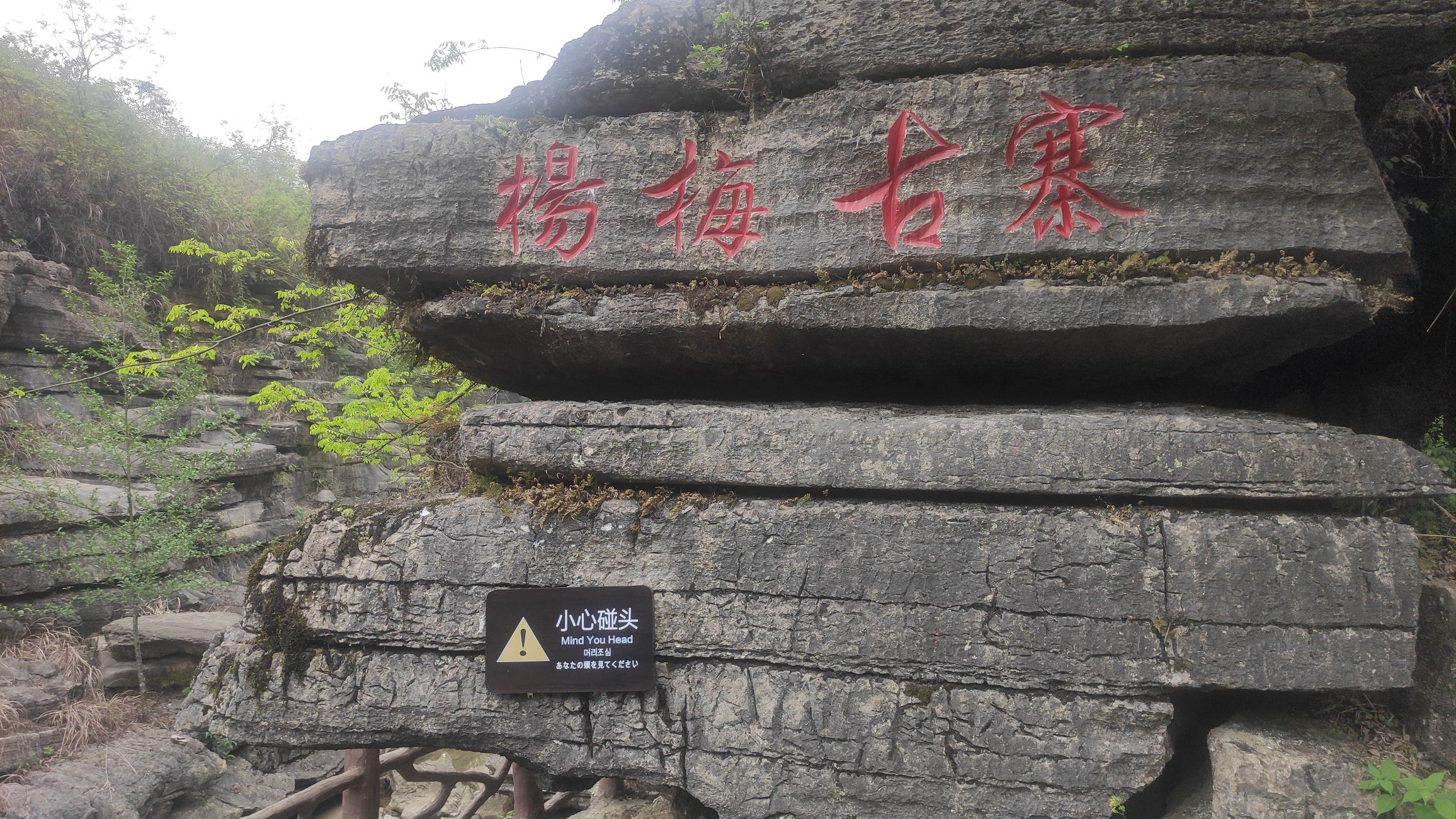 杨梅古寨景区旅行图片 3