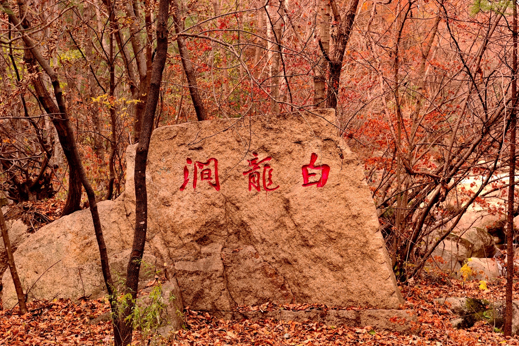天华山-白龙涧景区
