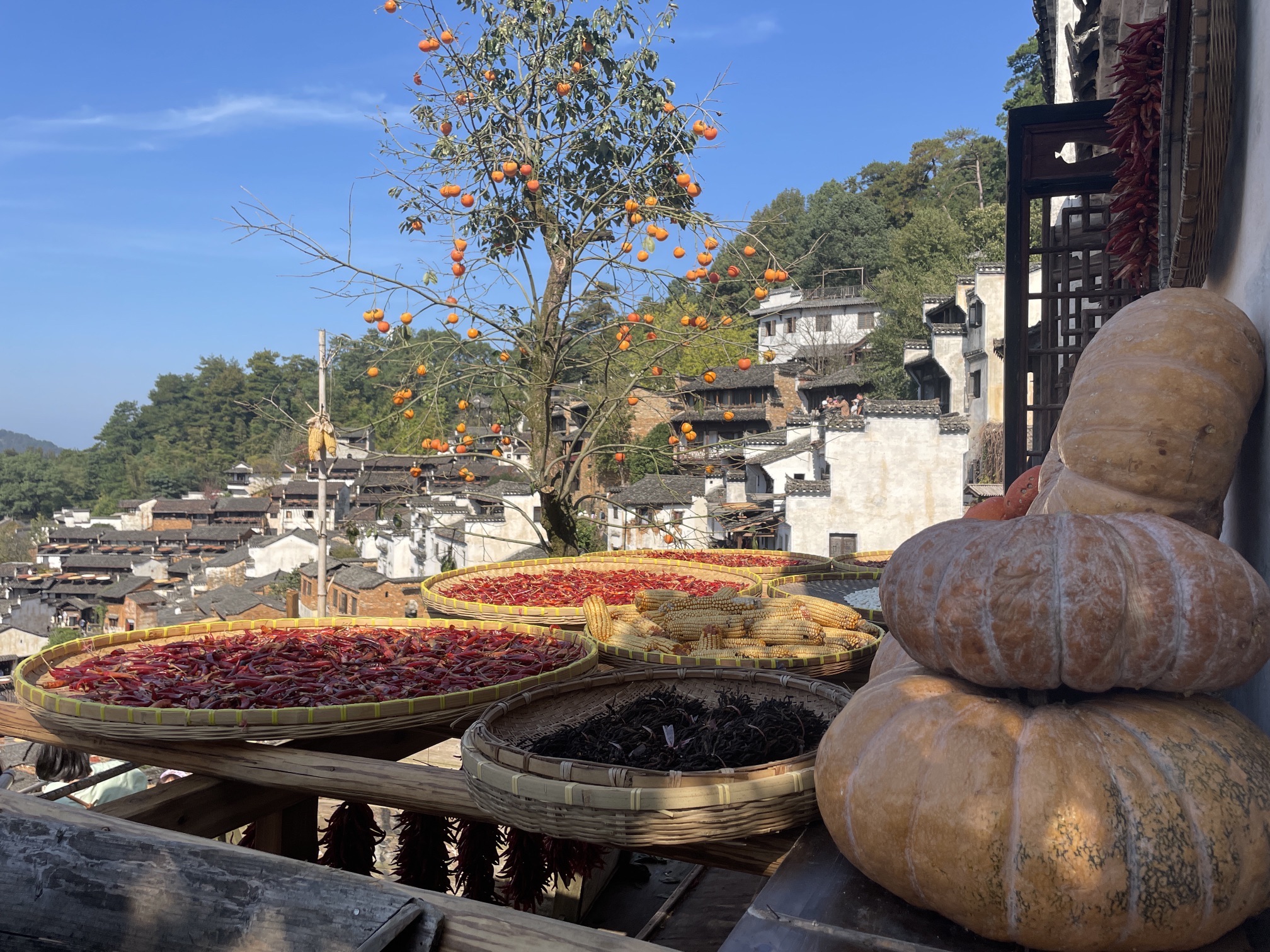 篁岭景区-索道