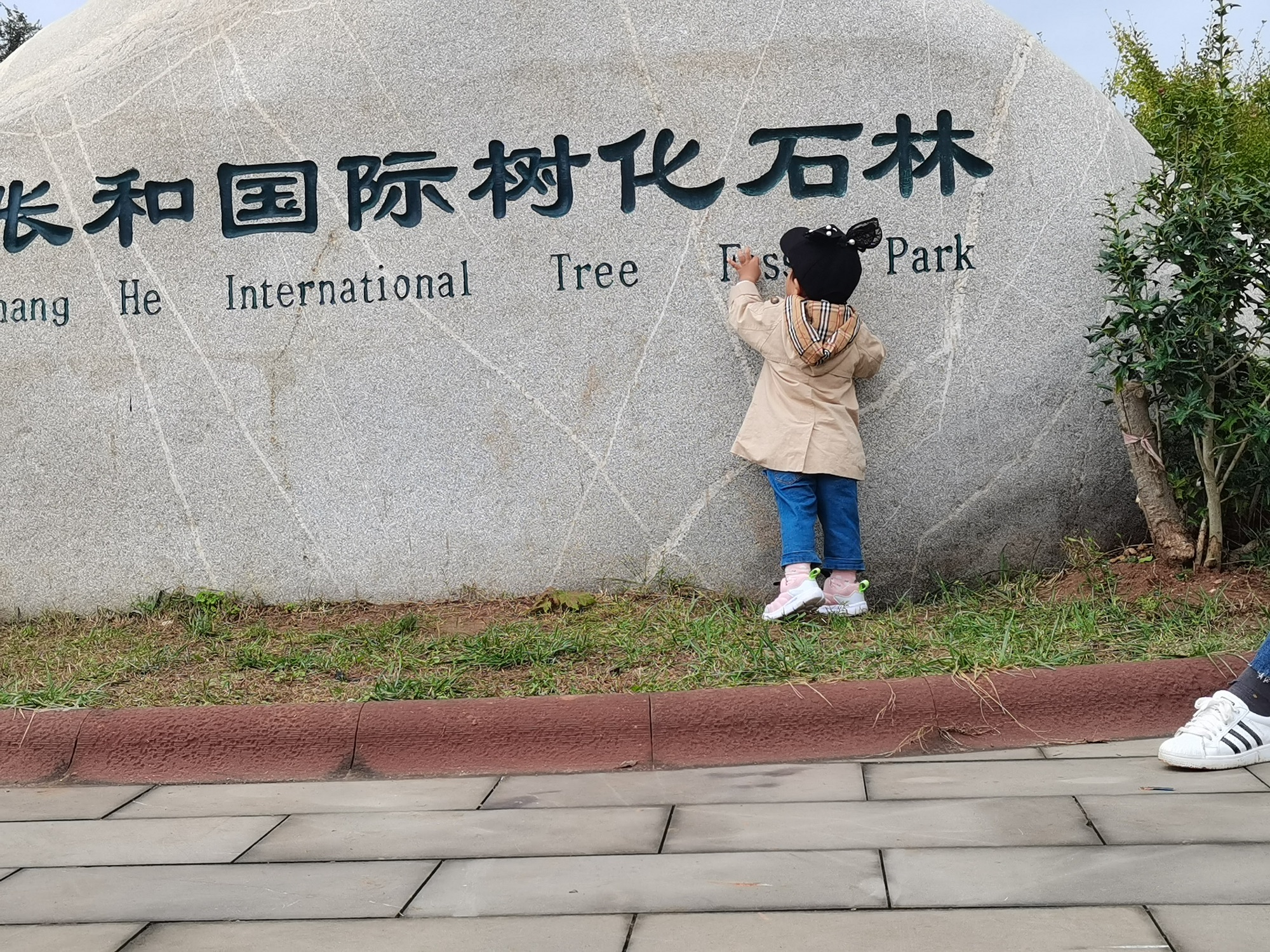 白垩纪国家地质公园旅行图片 3
