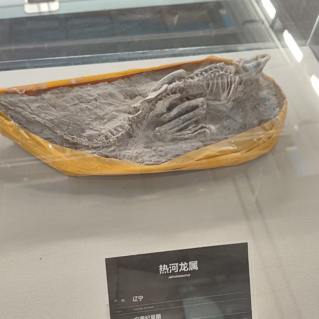 白垩纪国家地质公园旅行图片 2