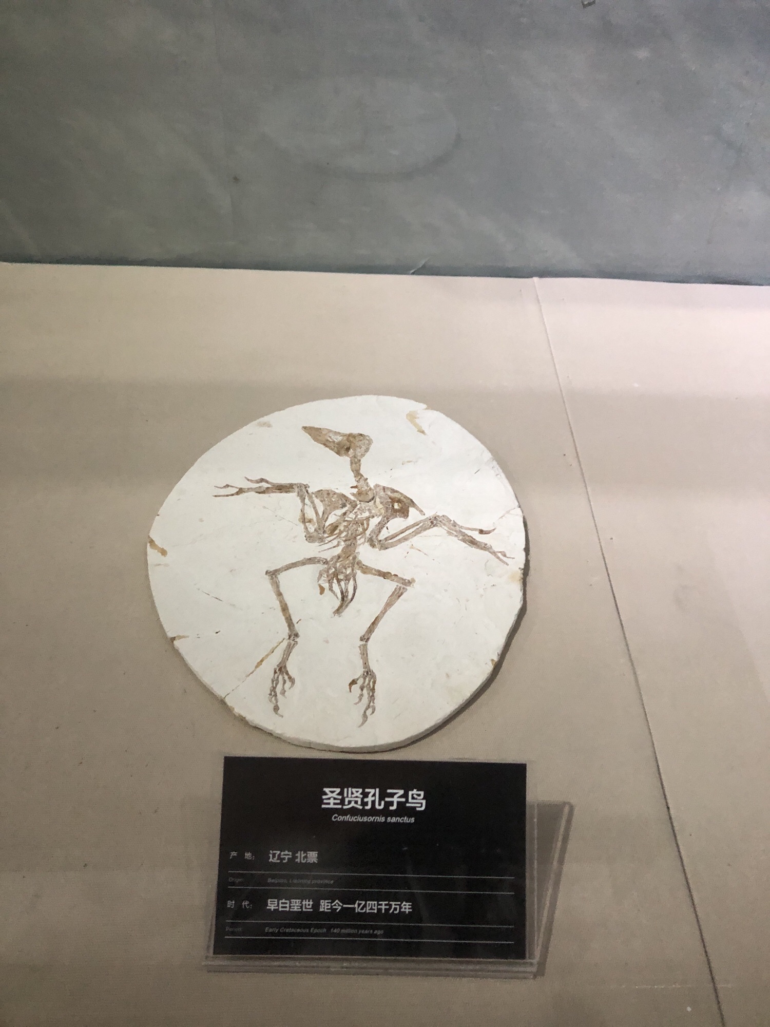白垩纪国家地质公园旅行图片 3