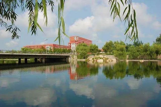 大学城夜市