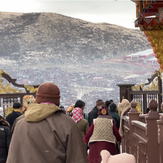 坛城旅行图片 2