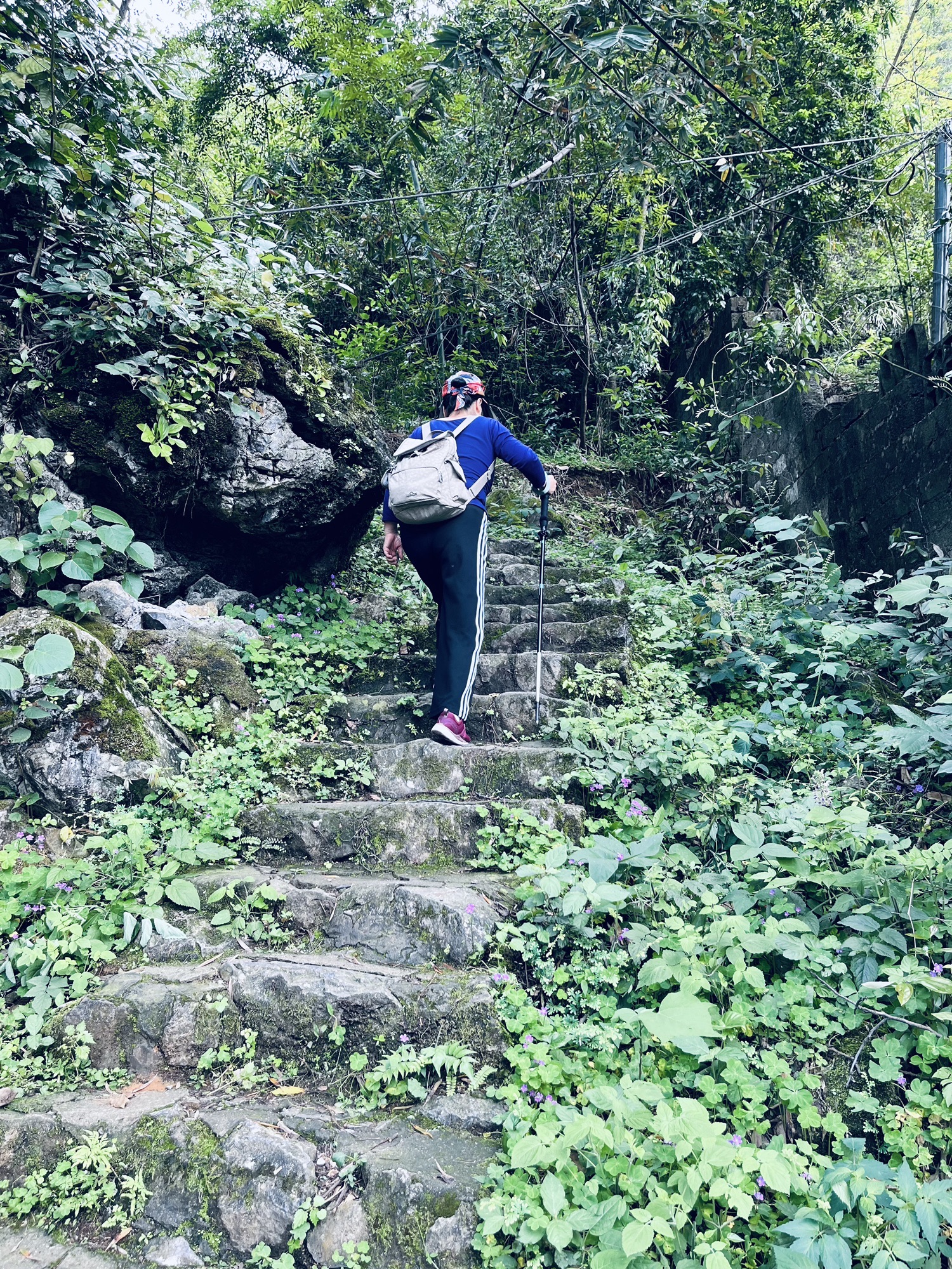 阳朔电视塔旅行图片 2
