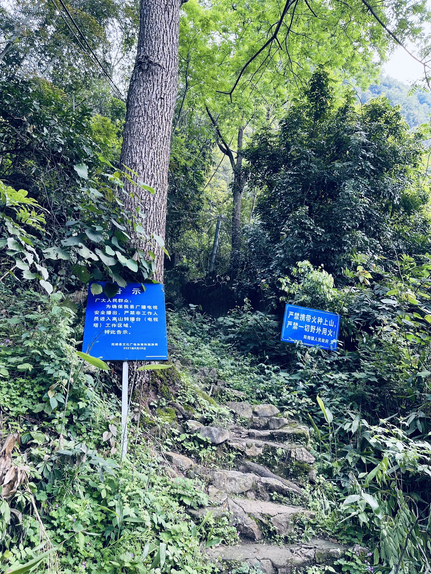 阳朔电视塔旅行图片 1