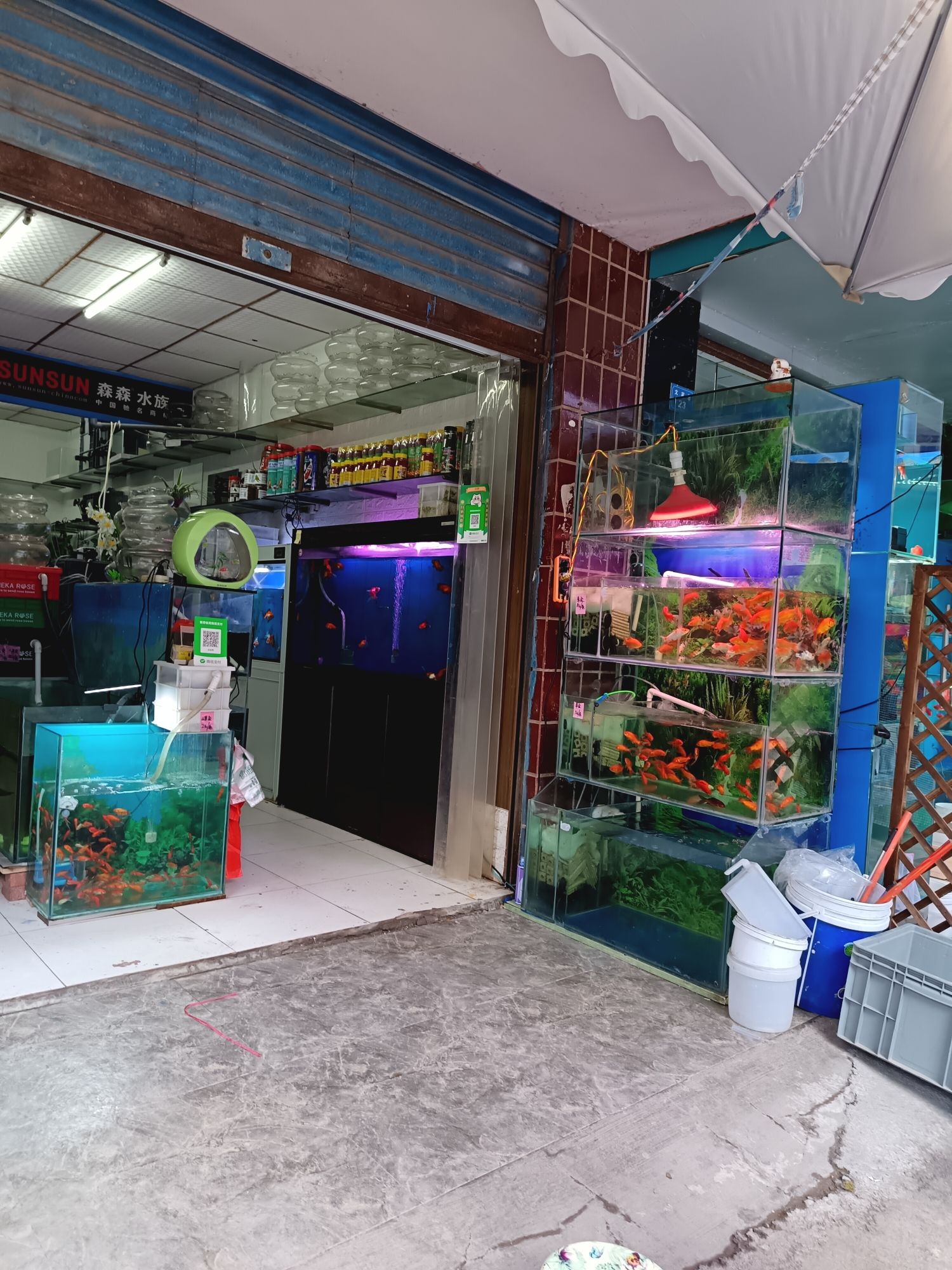 广安贺氏水族连锁经营店