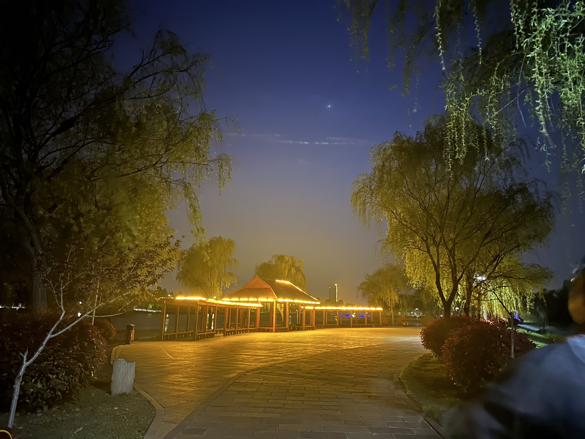 鸡龙河湿地公园旅行图片 3