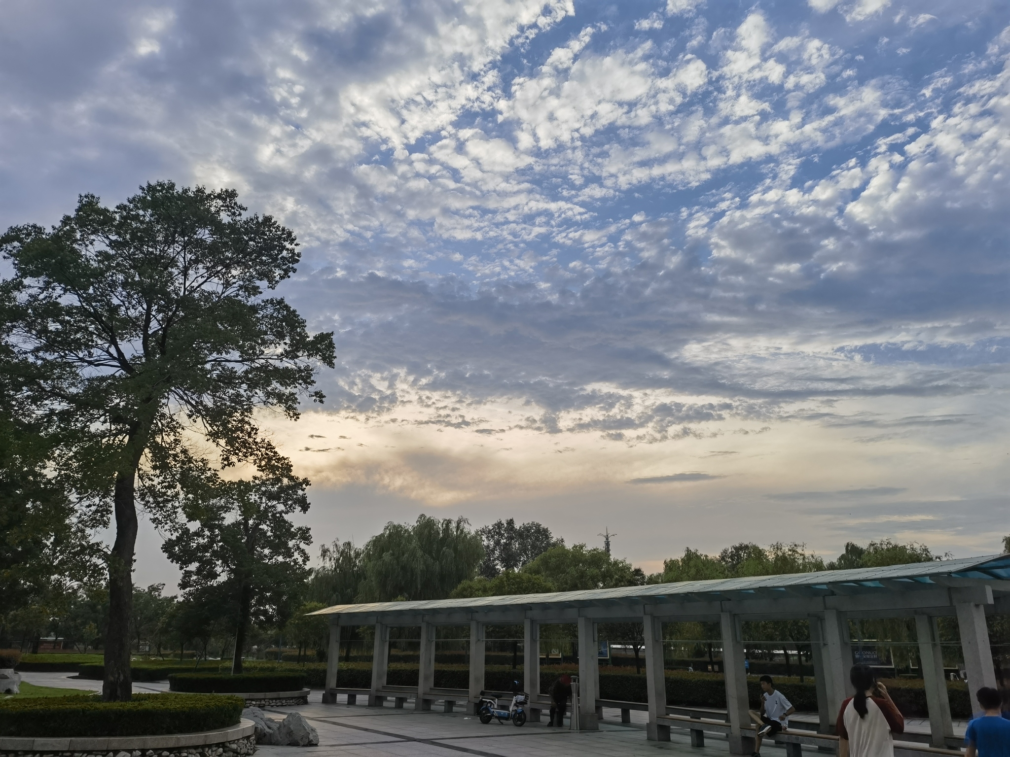 鸡龙河湿地公园旅行图片 3