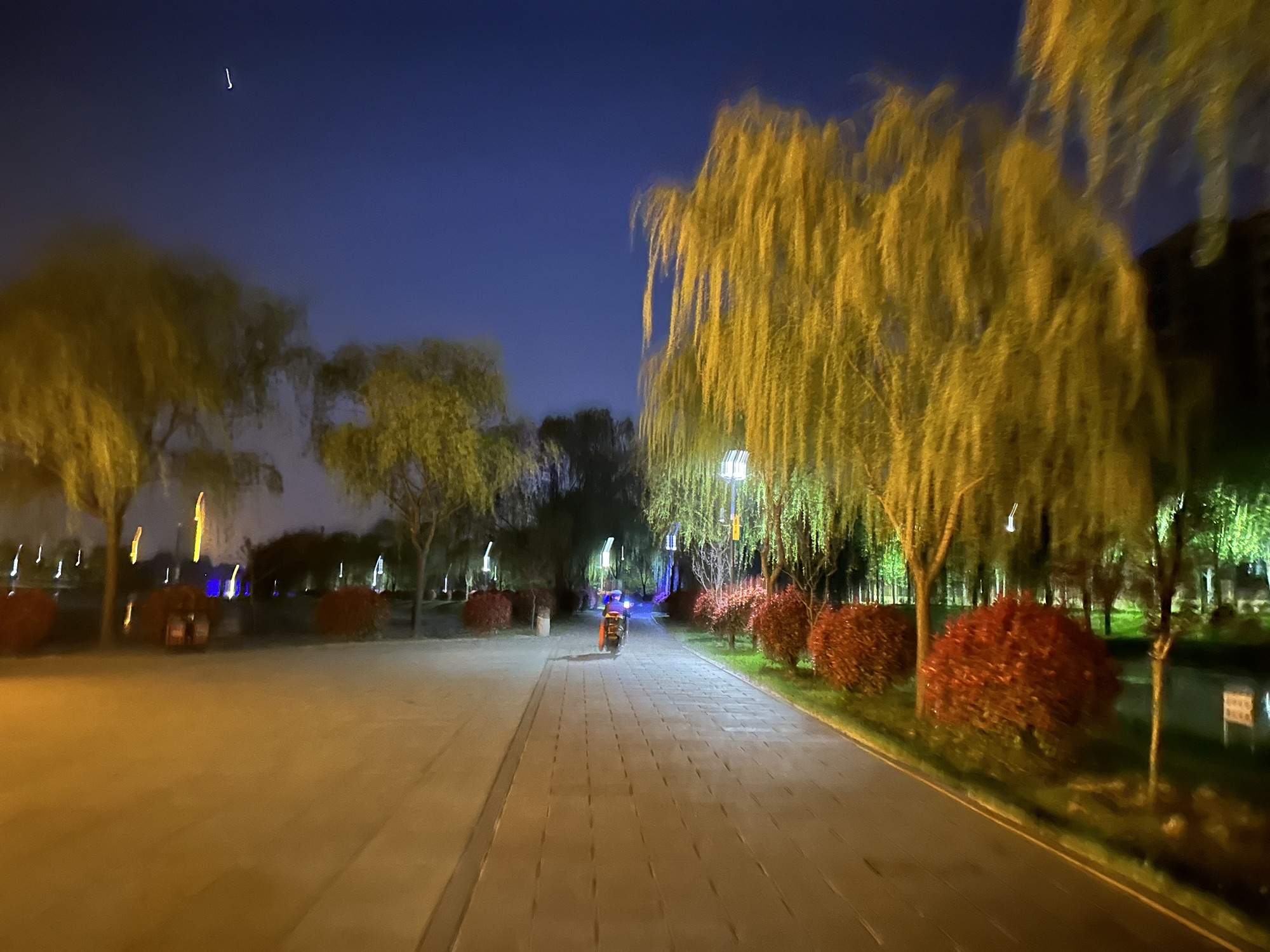鸡龙河湿地公园旅行图片 1
