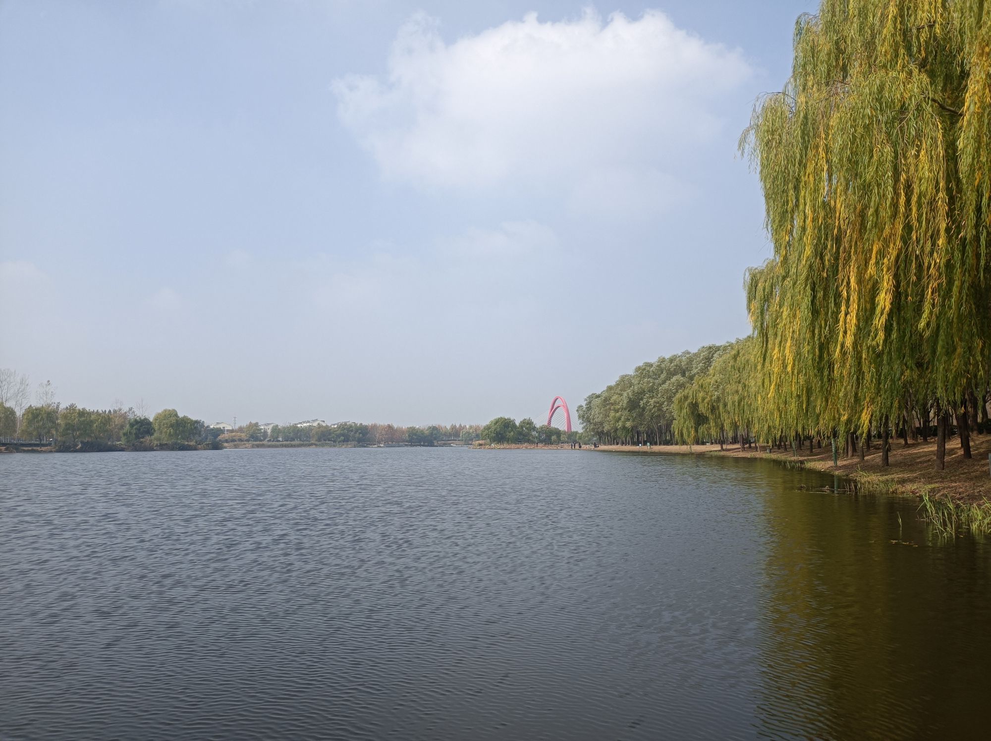 鸡龙河湿地公园