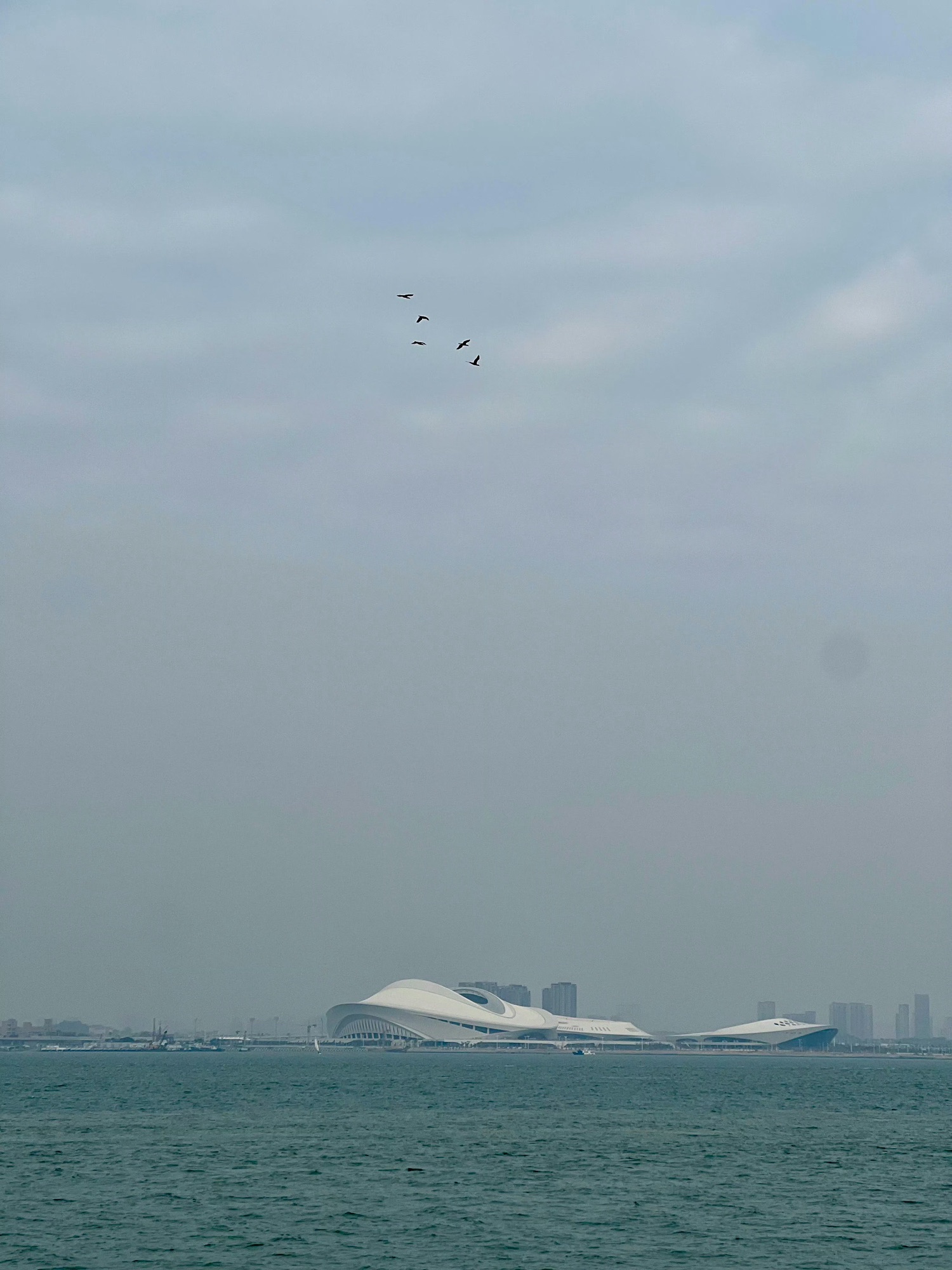 五缘湾沙滩旅行图片 2