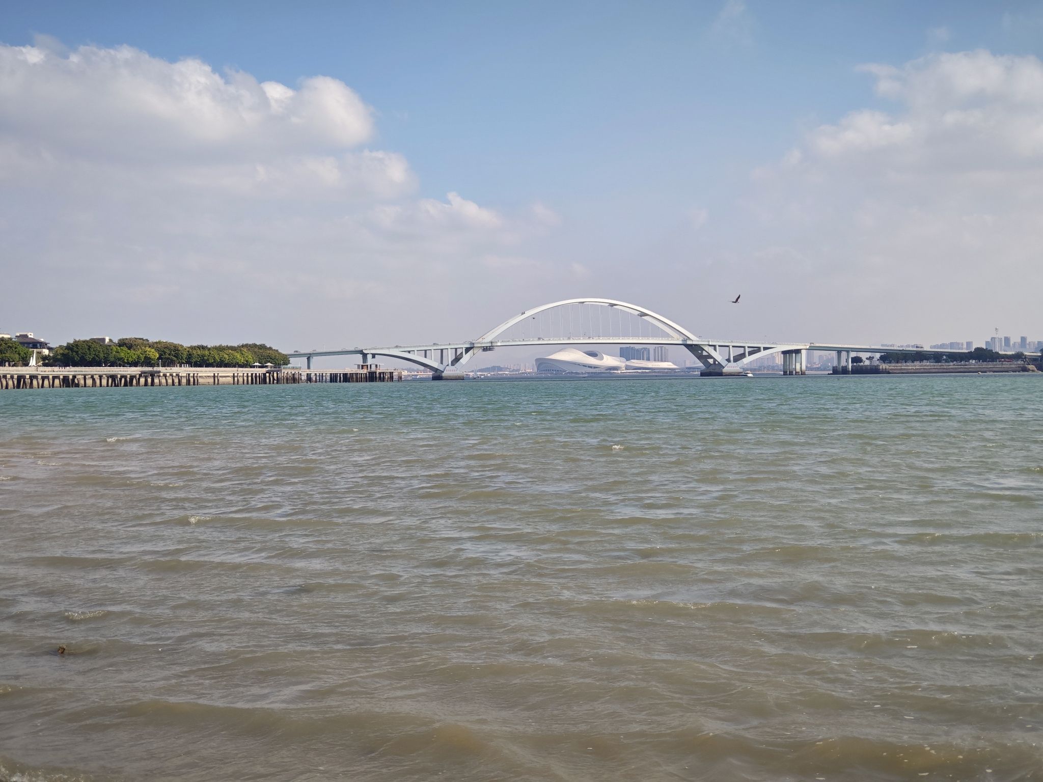 五缘湾沙滩旅行图片 3