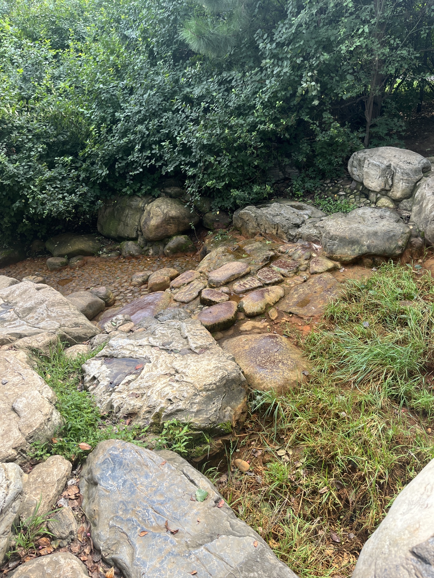 桂林公园旅行图片 1