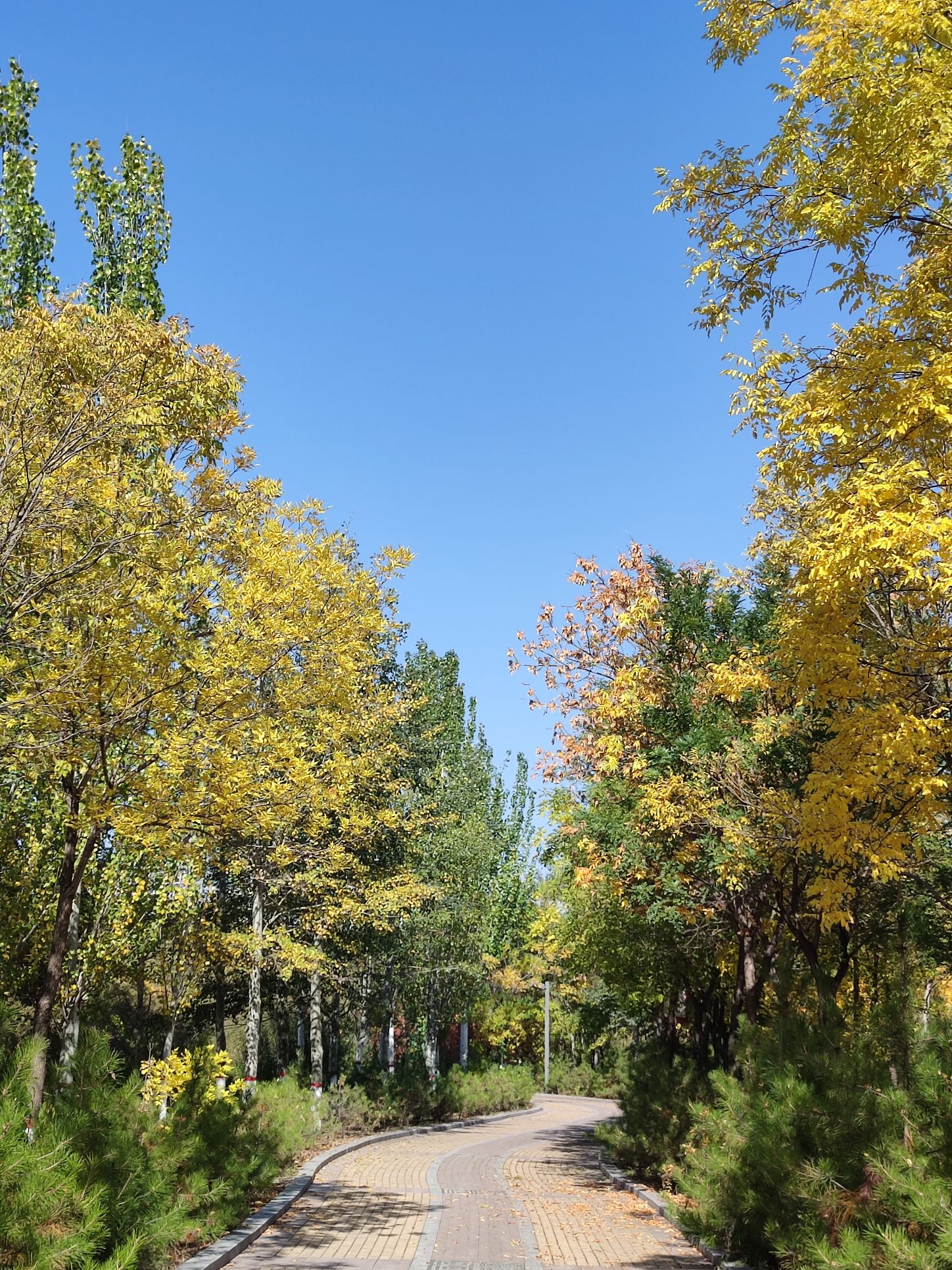 智家堡公园旅行图片 1