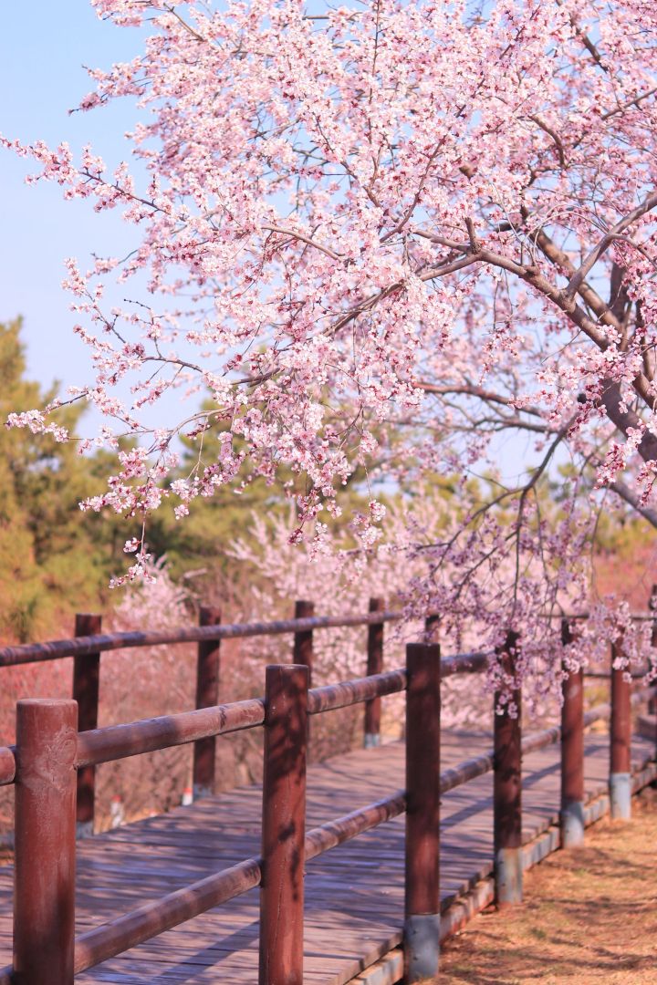 智家堡公园