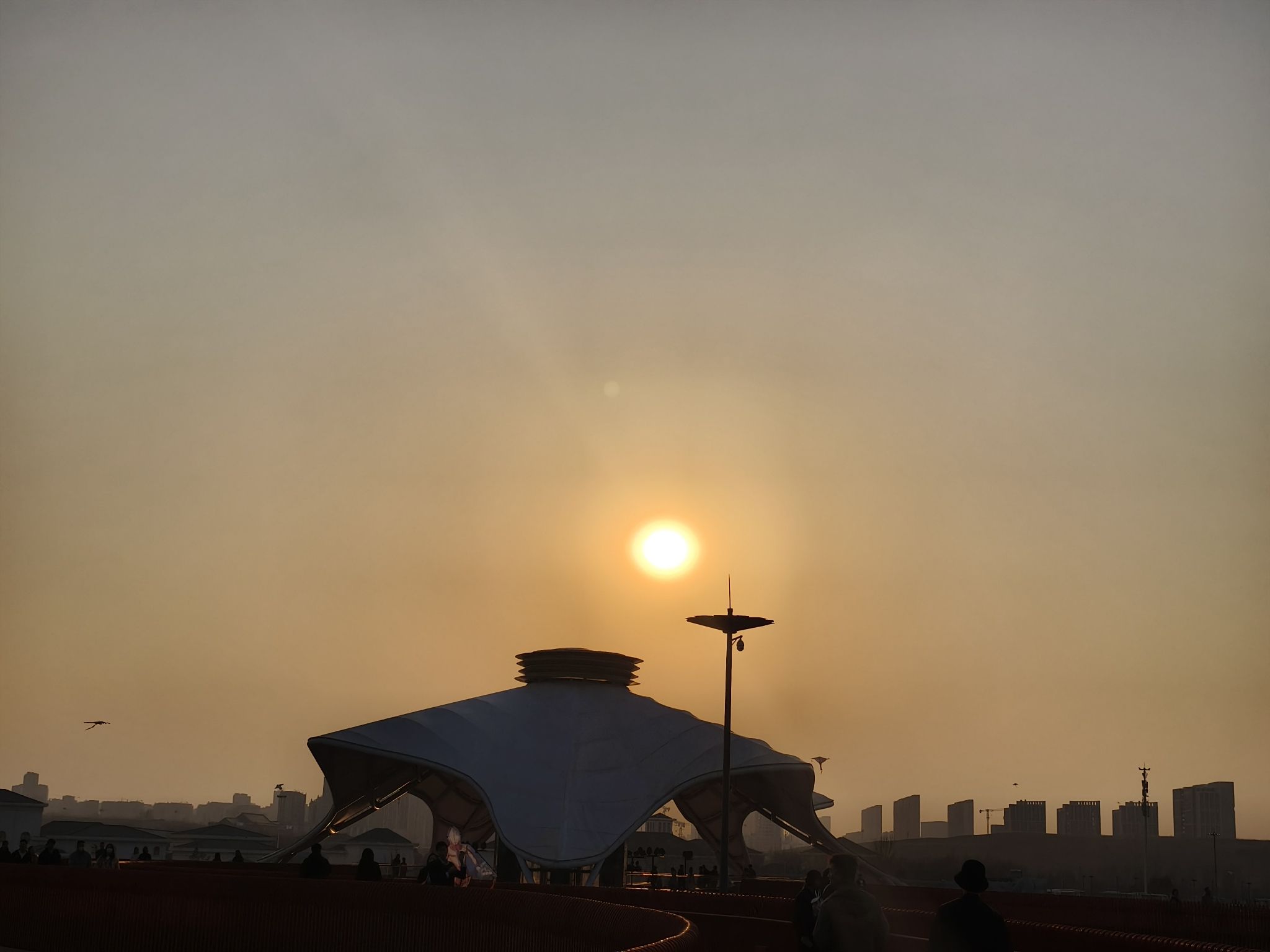 南溪湿地公园旅行图片 3