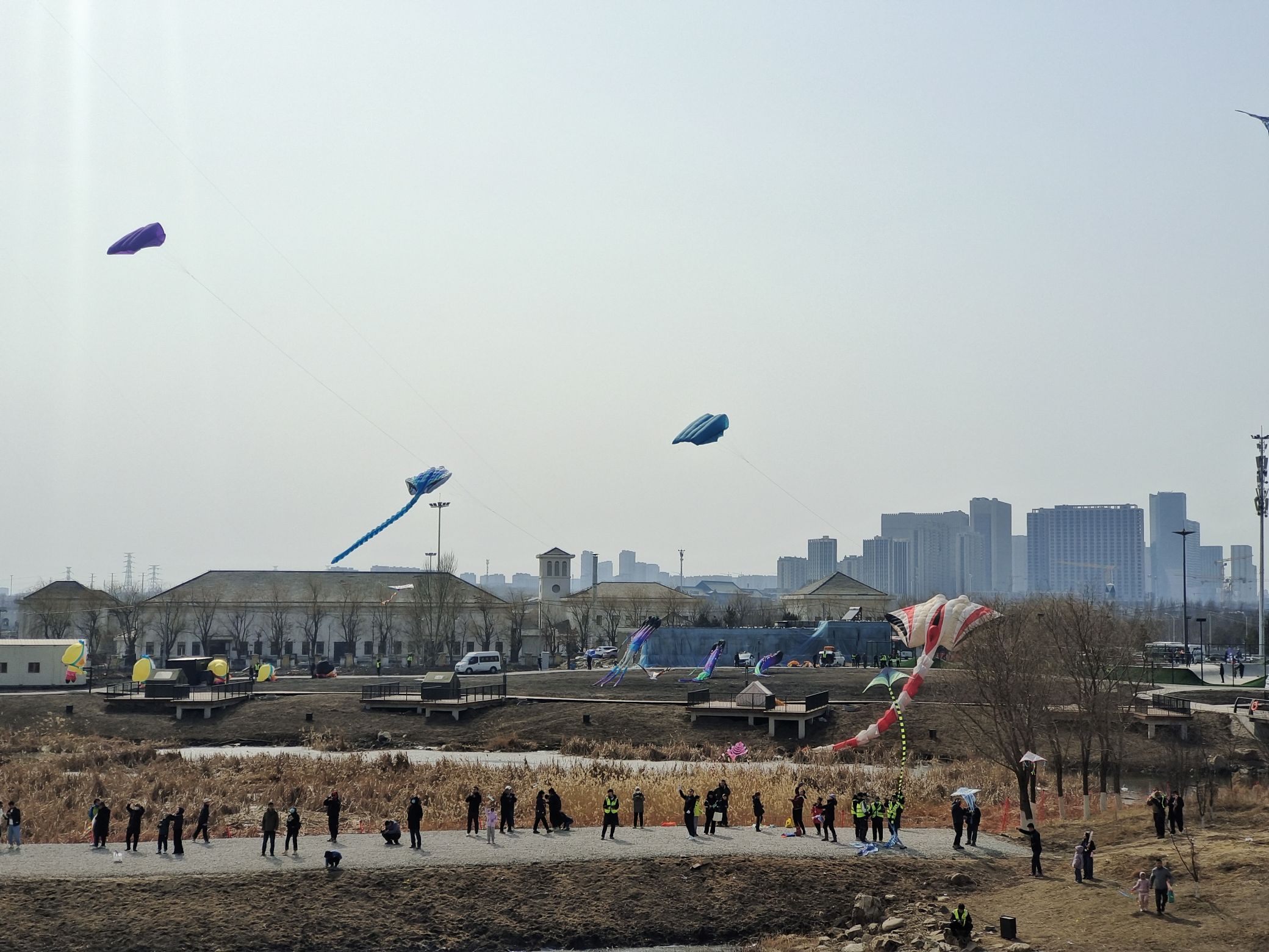 南溪湿地公园旅行图片 3