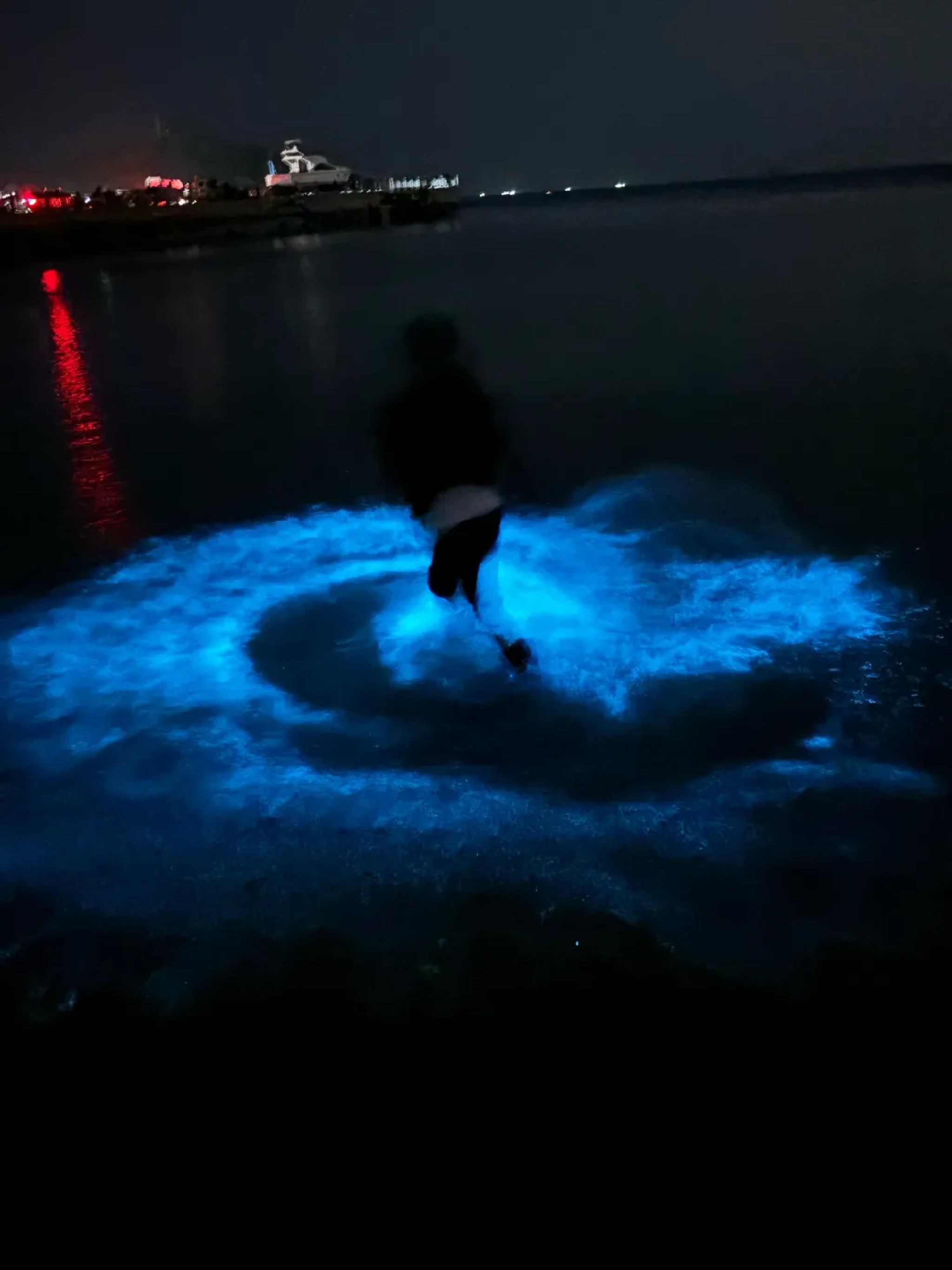 大黑石荧光海岸浴场旅行图片 1