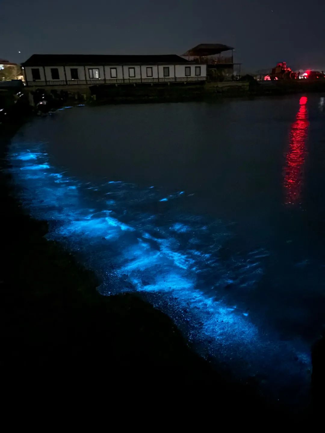 大黑石荧光海岸浴场旅行图片 2