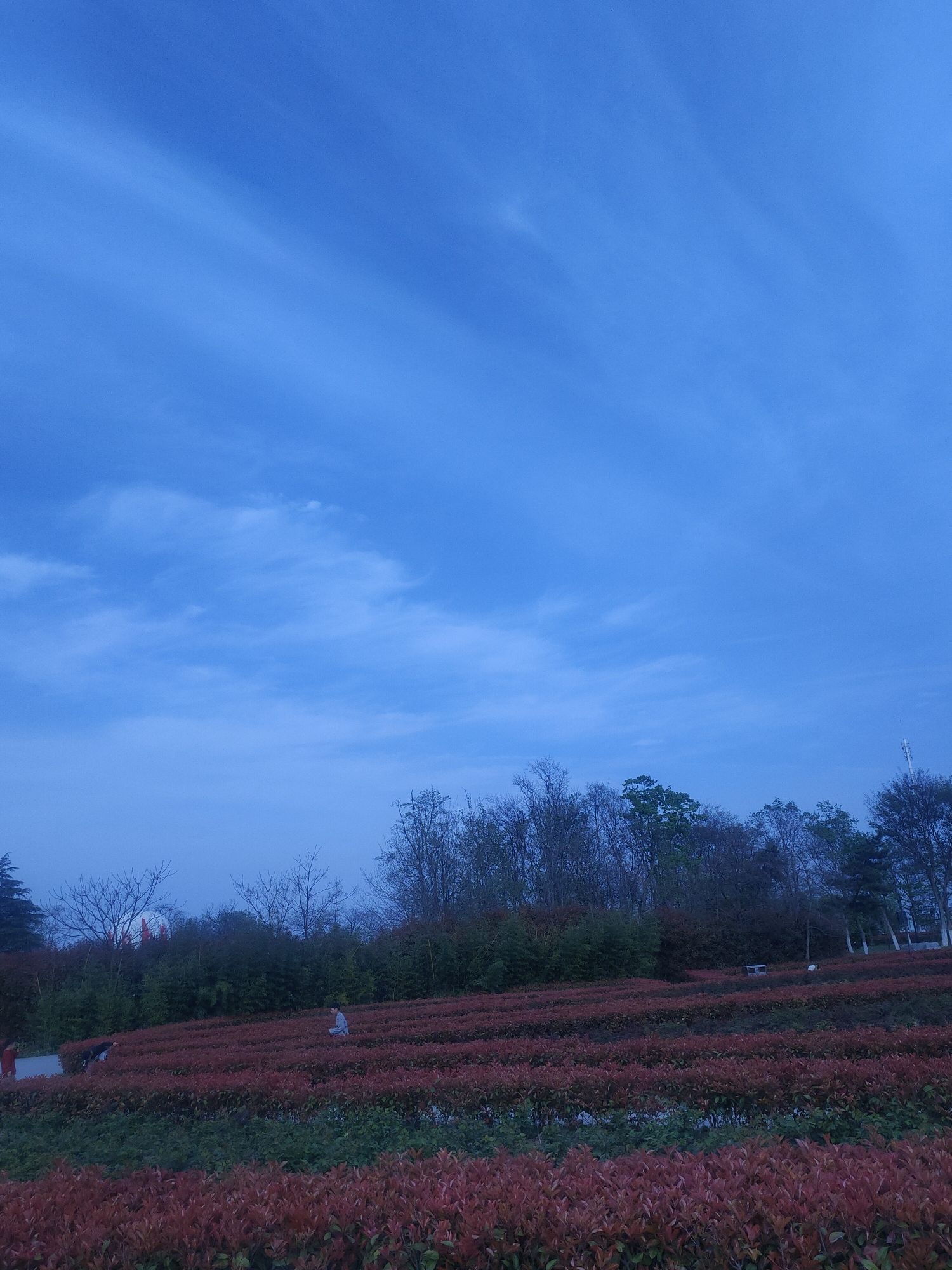 宿迁骆马湖国家级旅游度假区旅行图片 1