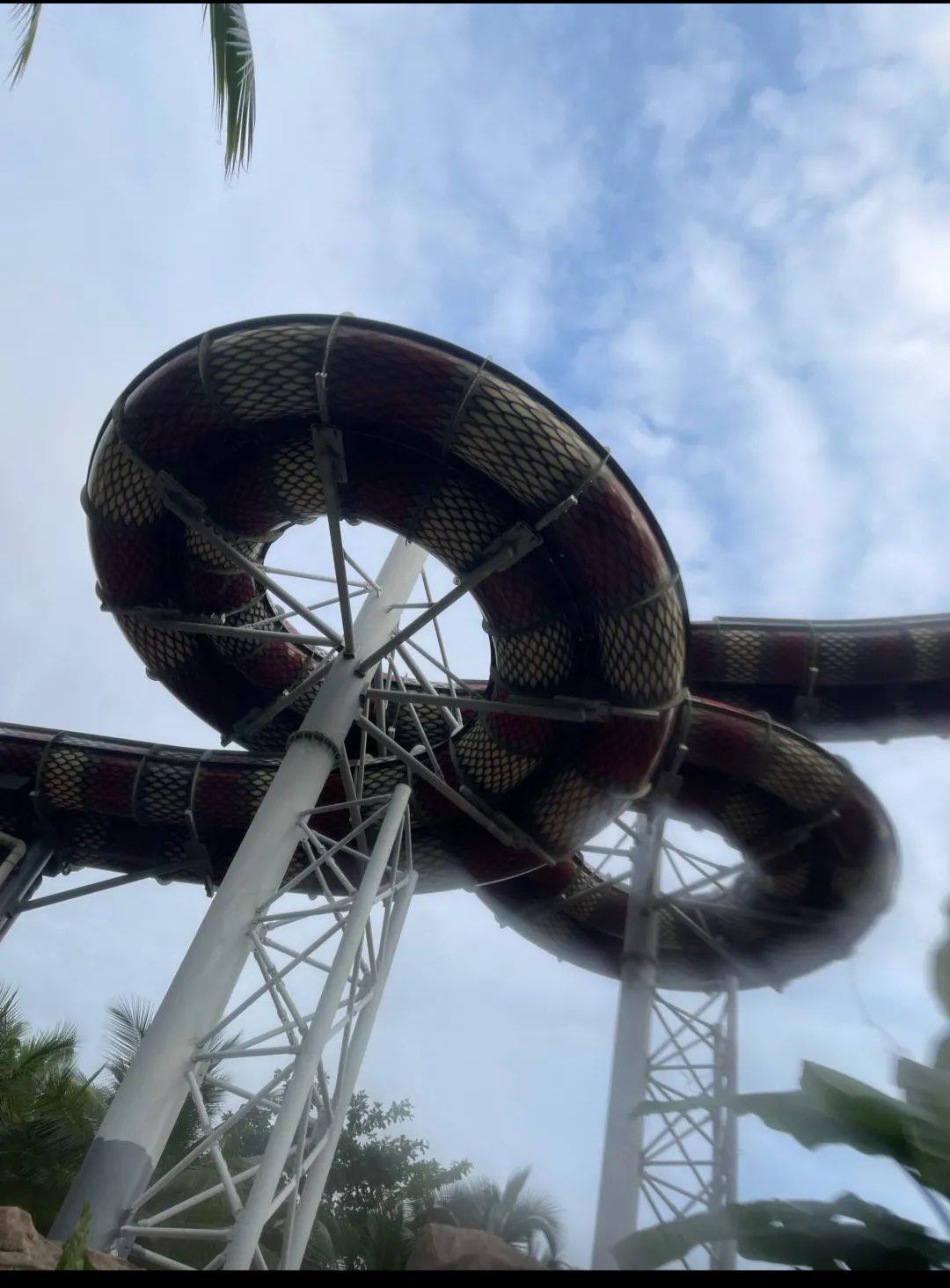 亚马逊丛林水乐园旅行图片 2