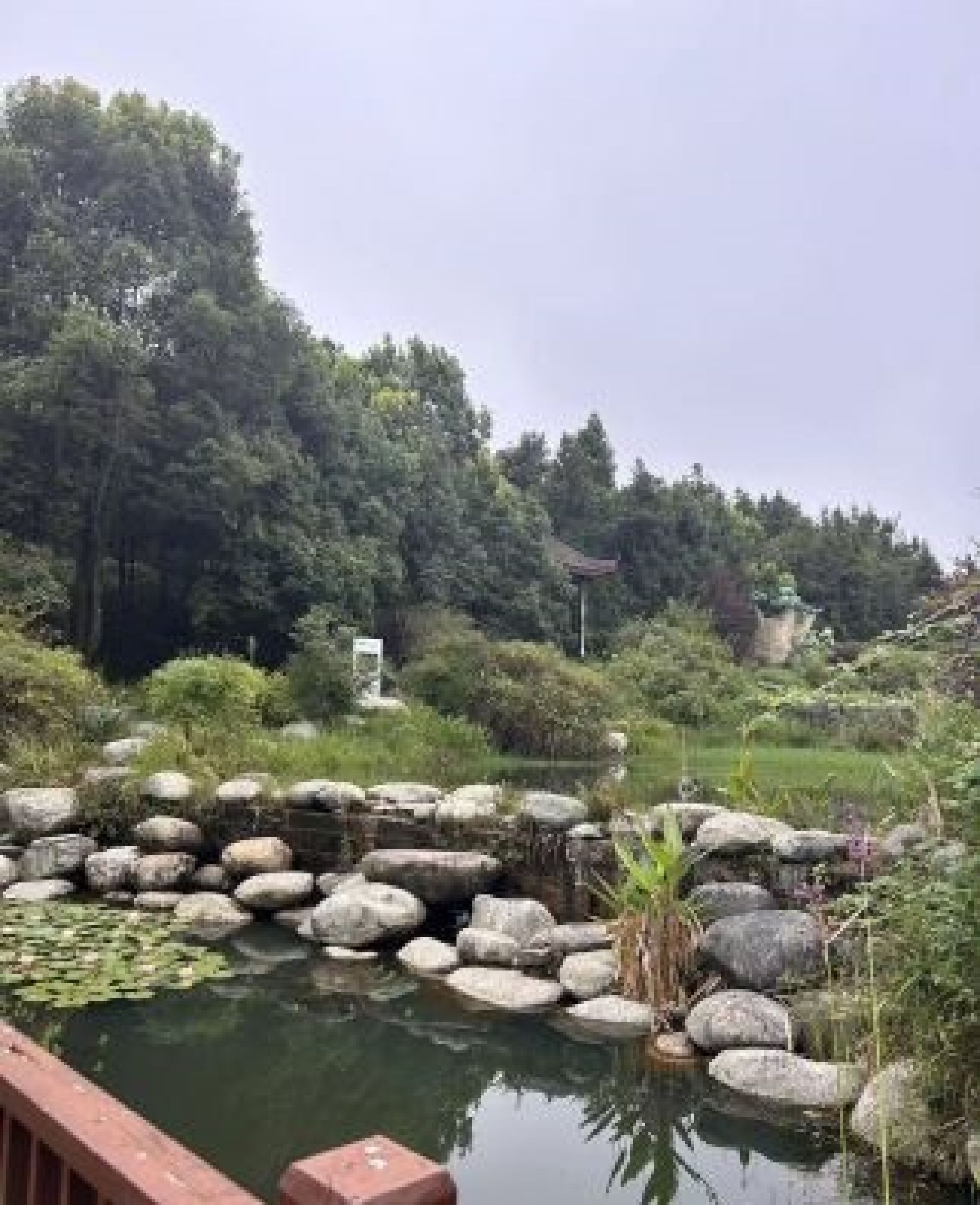 綦江高庙坝生态旅游区旅行图片 1