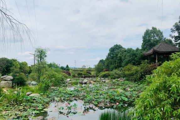 綦江高庙坝生态旅游区旅行图片 2