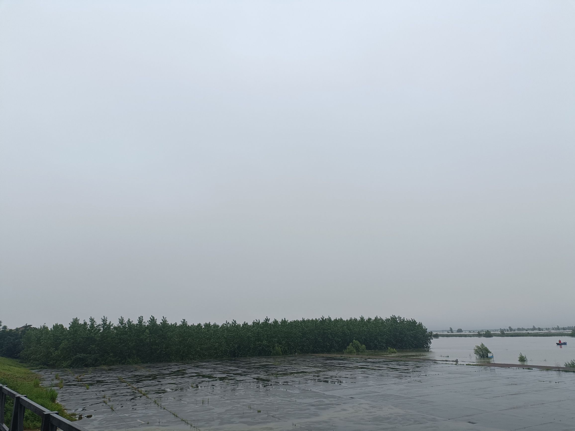 沅江市南洞庭湖湿地水禽自然保护区旅行图片 2