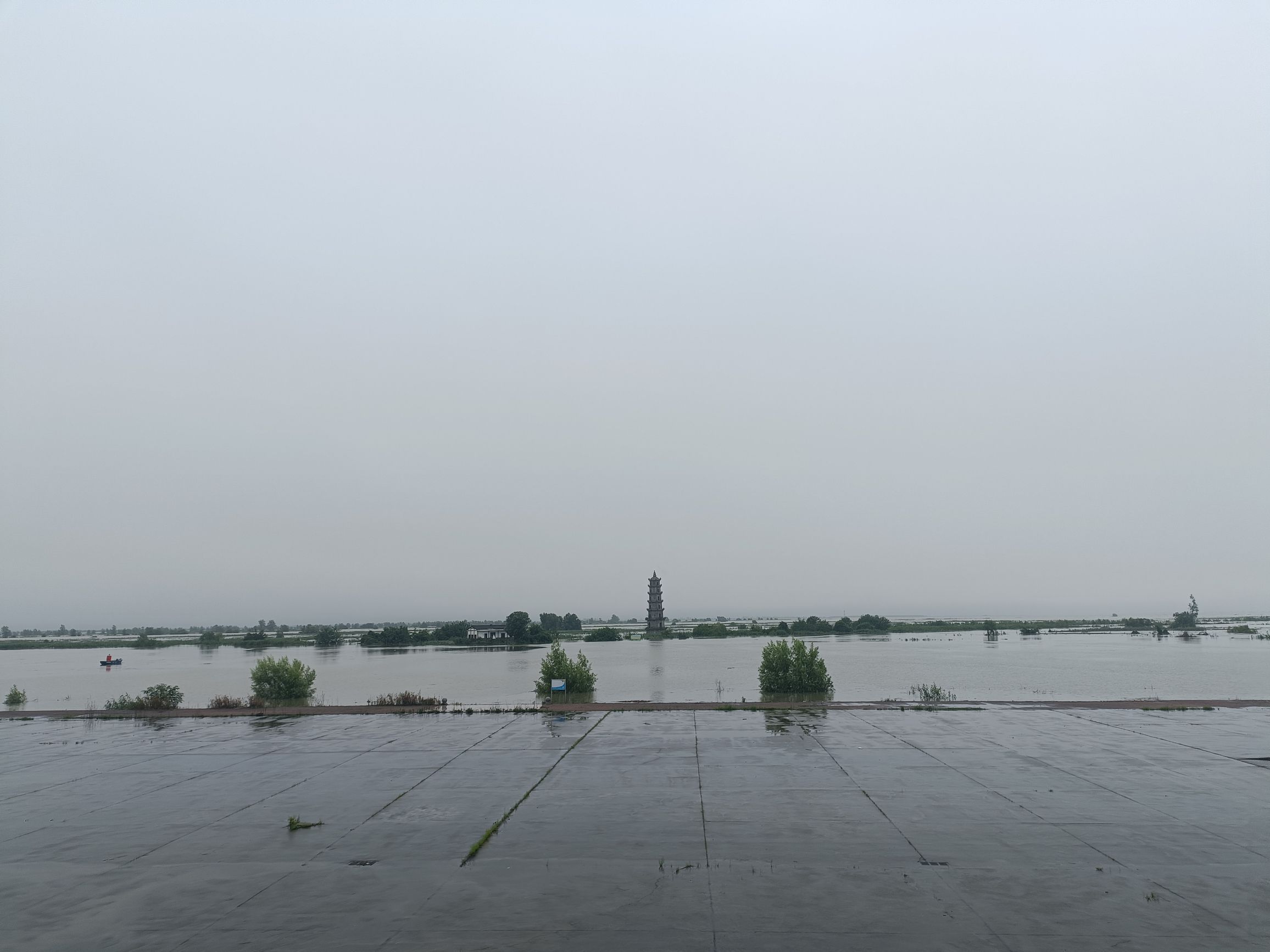 沅江市南洞庭湖湿地水禽自然保护区旅行图片 1