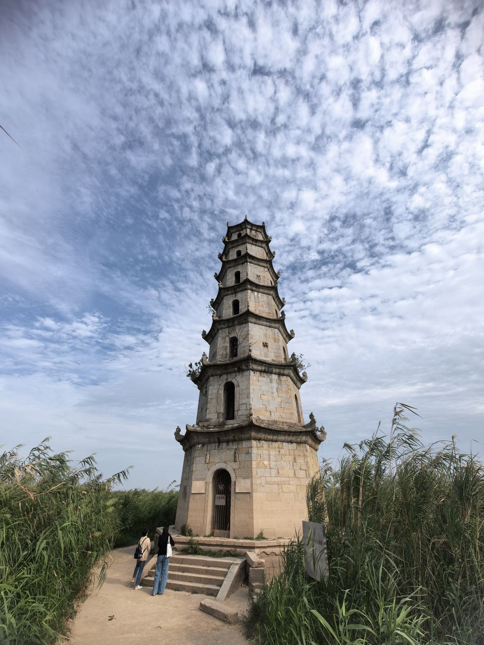 沅江市南洞庭湖湿地水禽自然保护区旅行图片 2