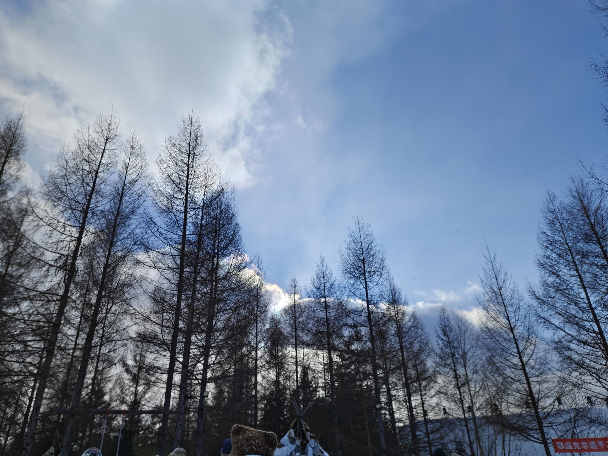 雪绒花旅行图片 1