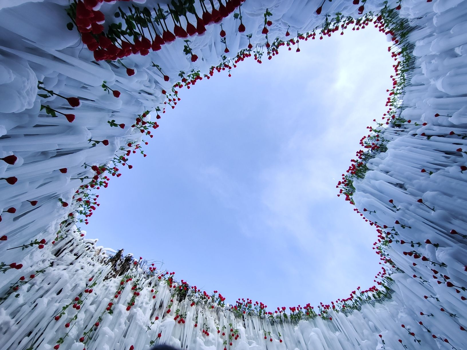 雪绒花旅行图片 2