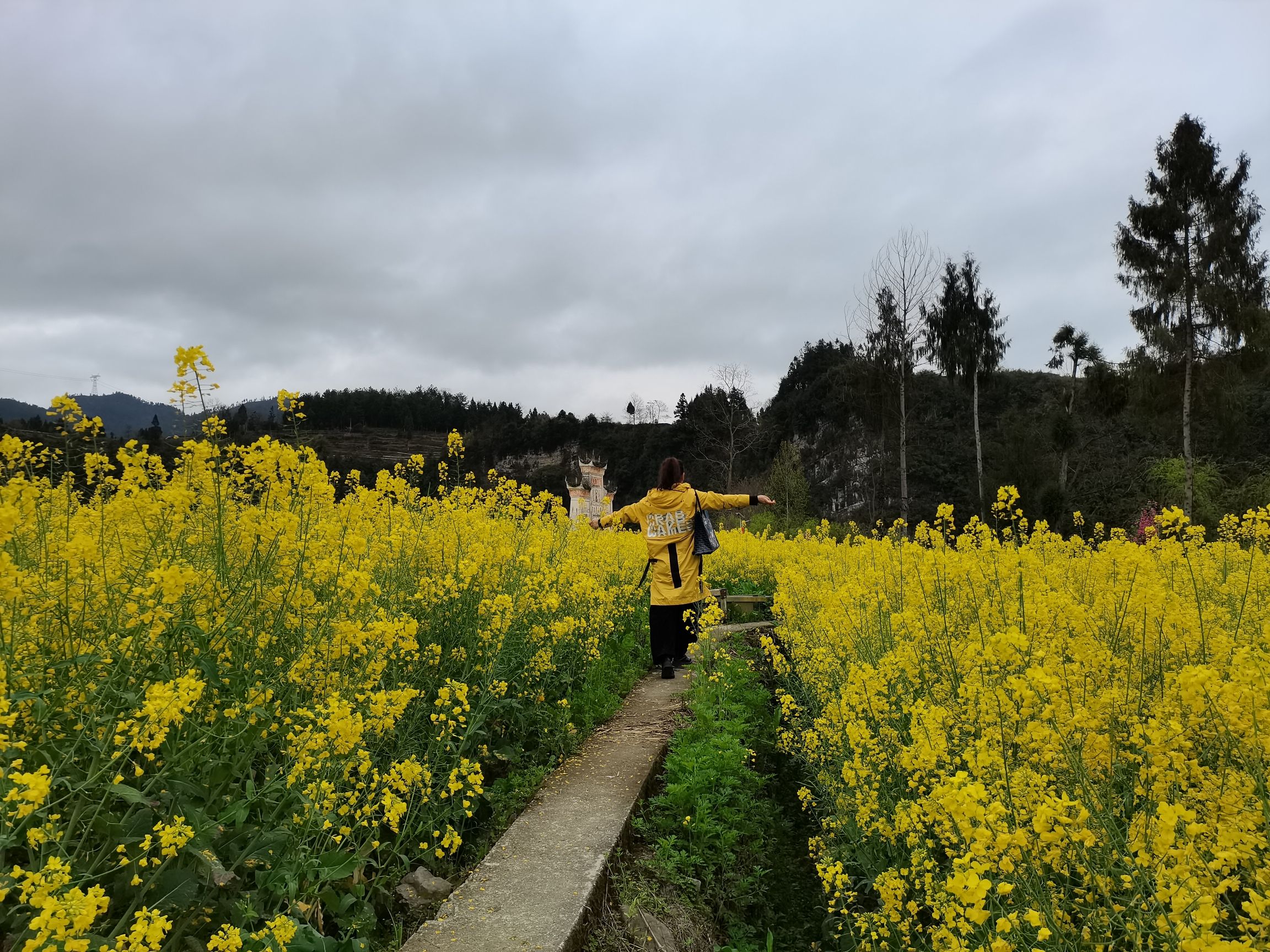 凤冈县长碛古寨景区旅行图片 3
