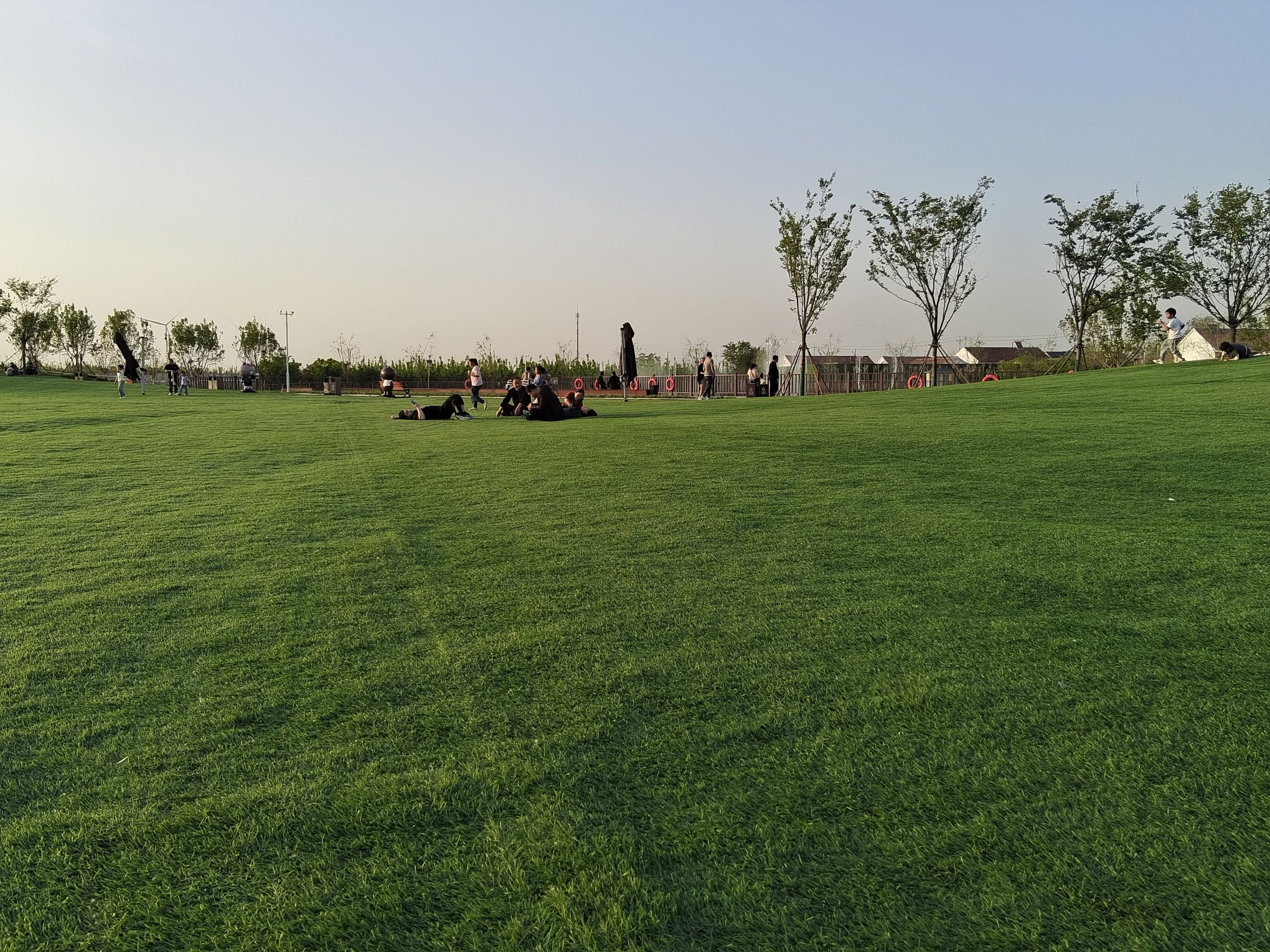 阳信万亩梨园旅行图片 1
