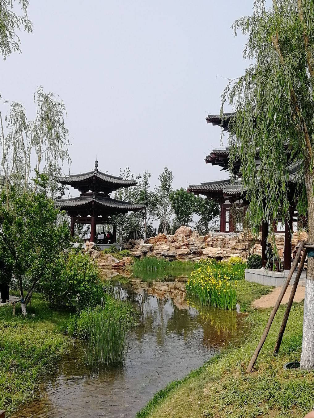 雅集公园旅行图片 2