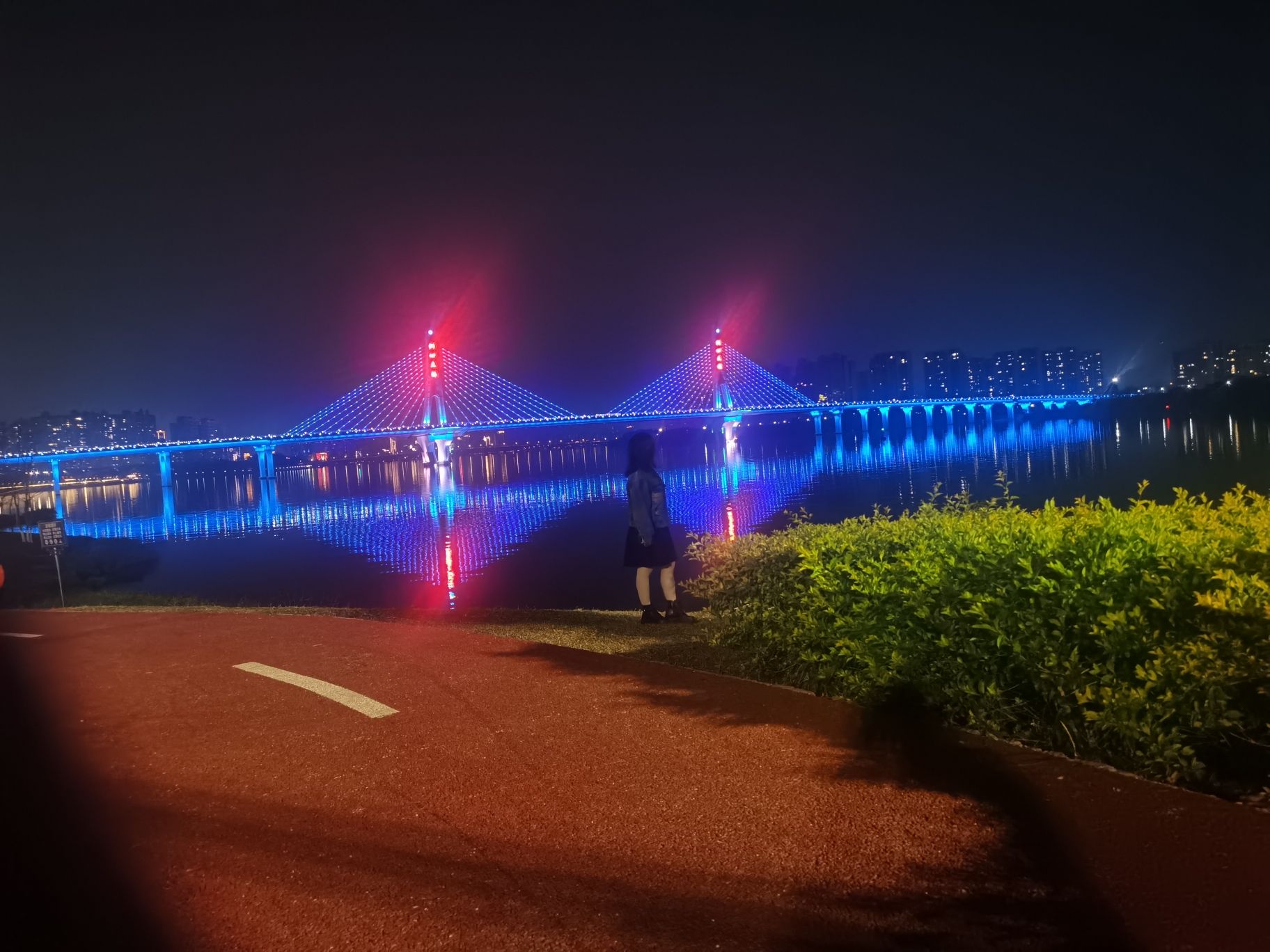 江心岛旅行图片 3