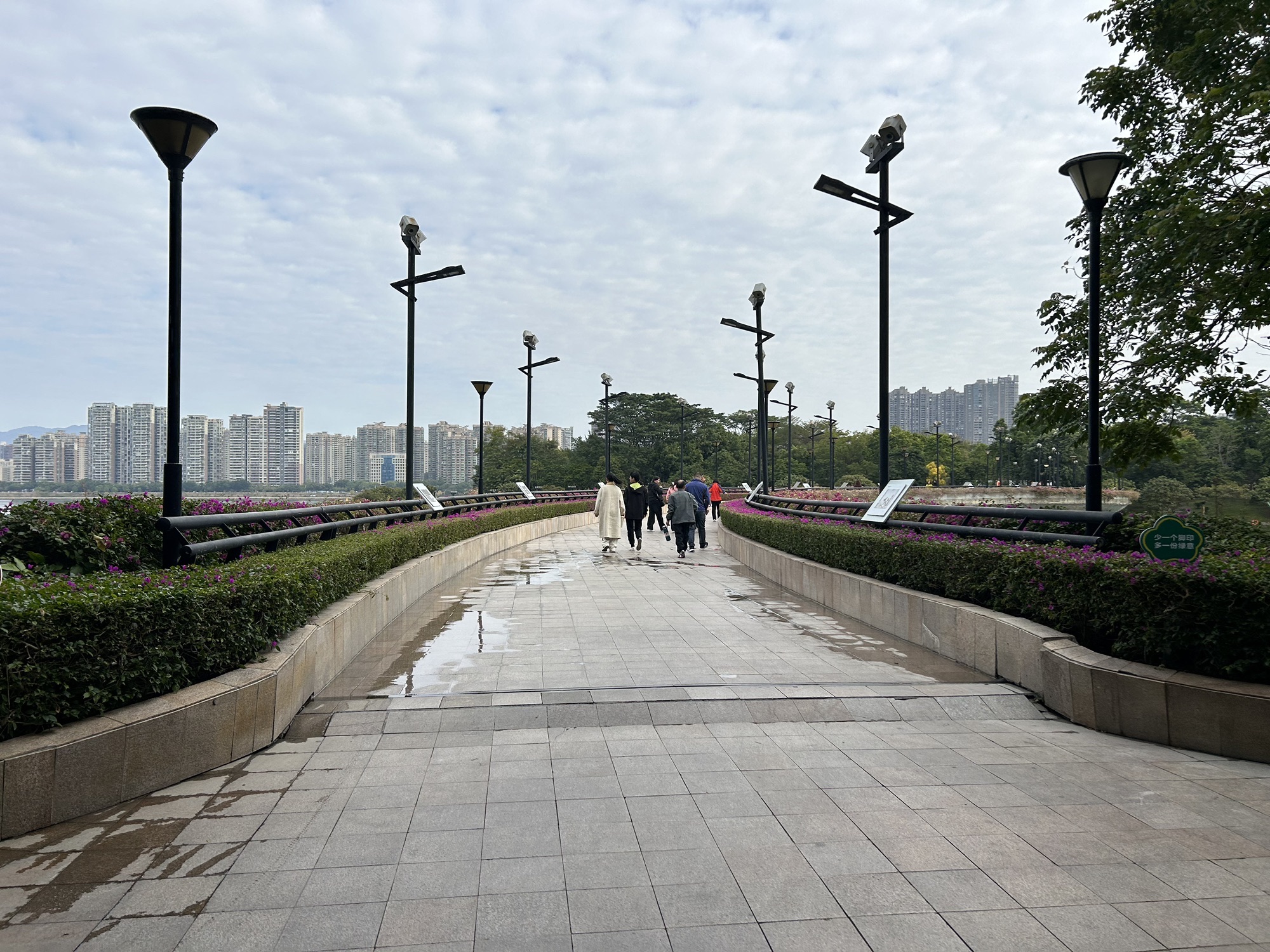 江心岛旅行图片 3