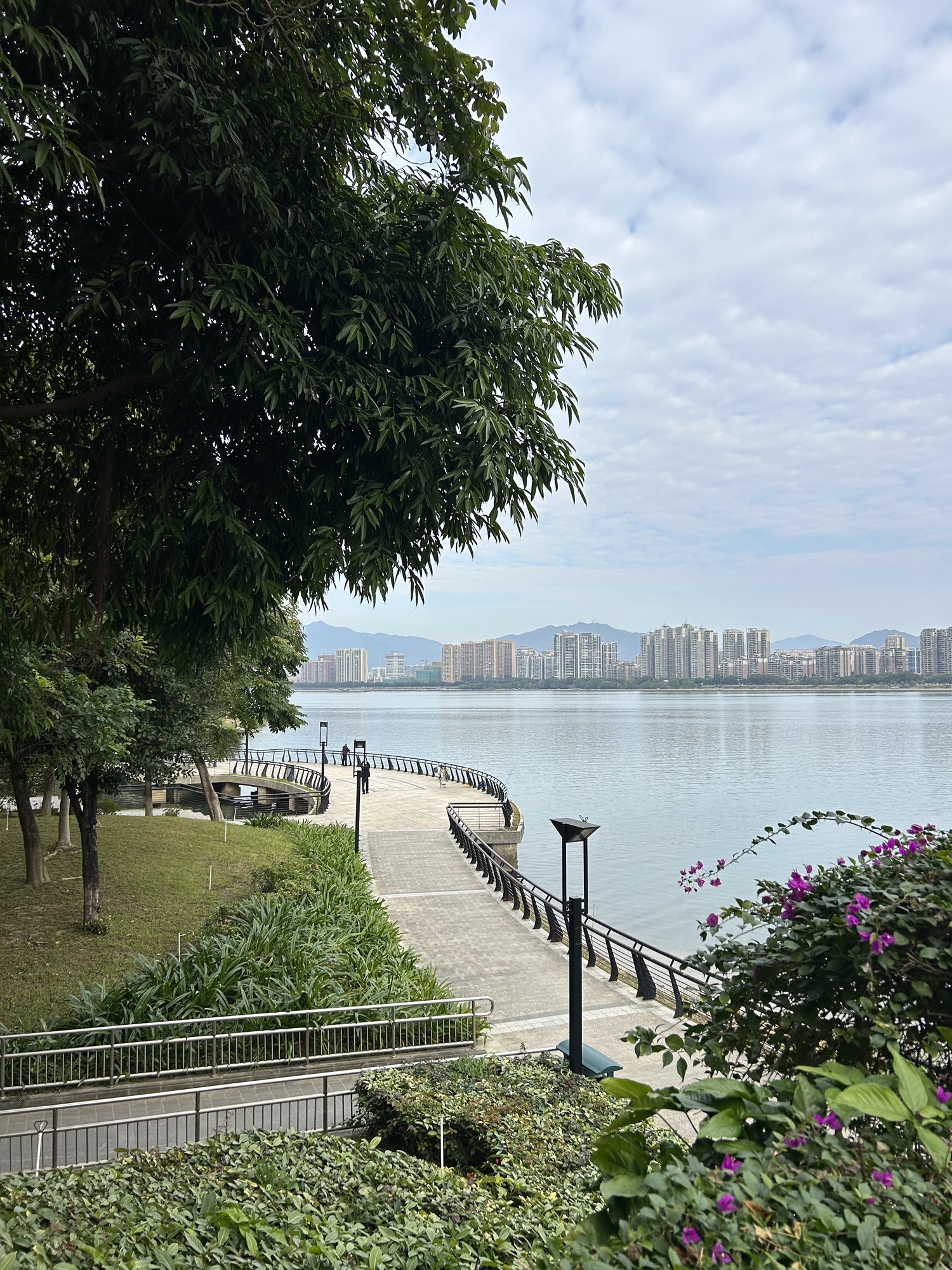 江心岛旅行图片 2