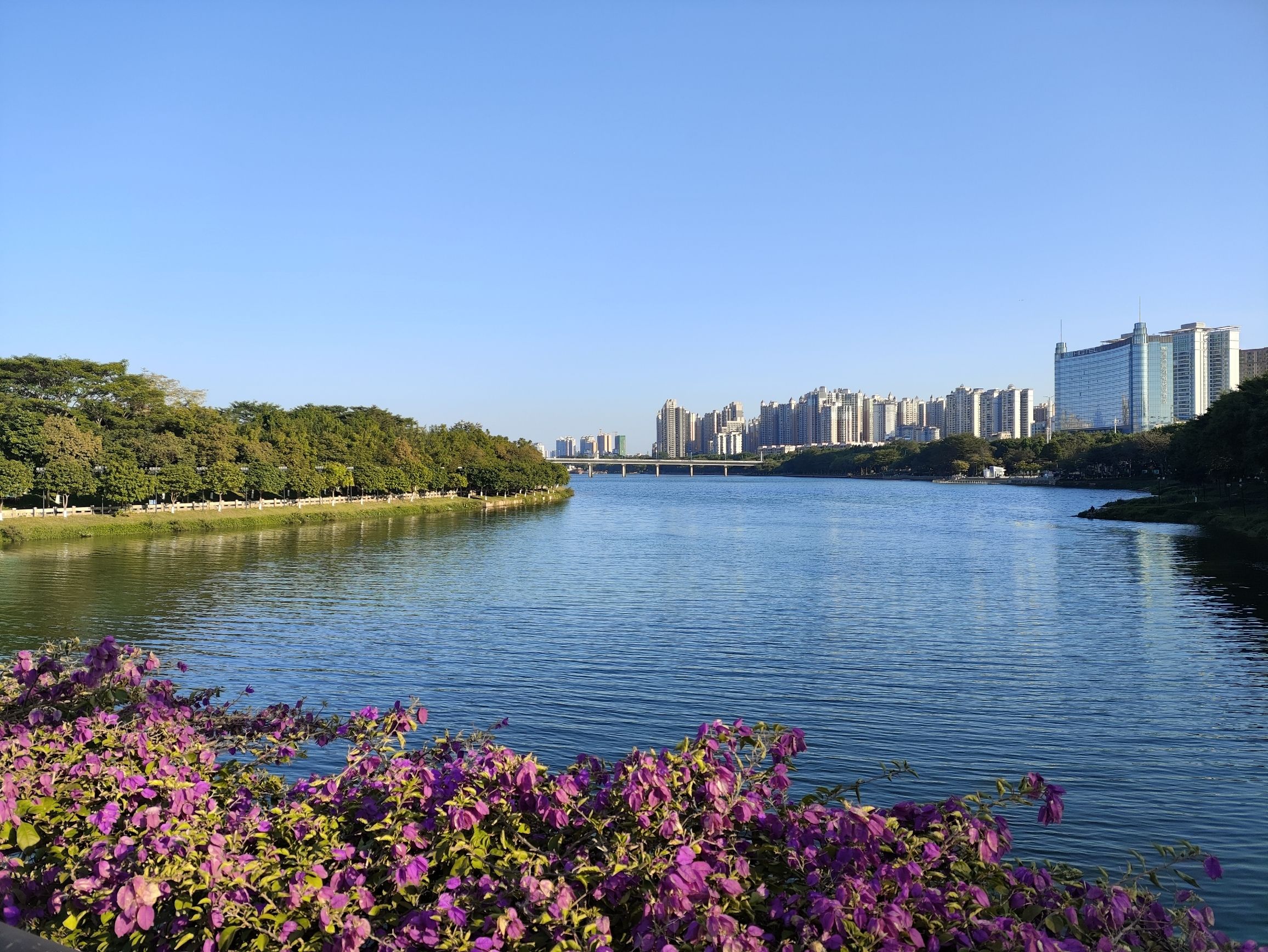 江心岛旅行图片 3