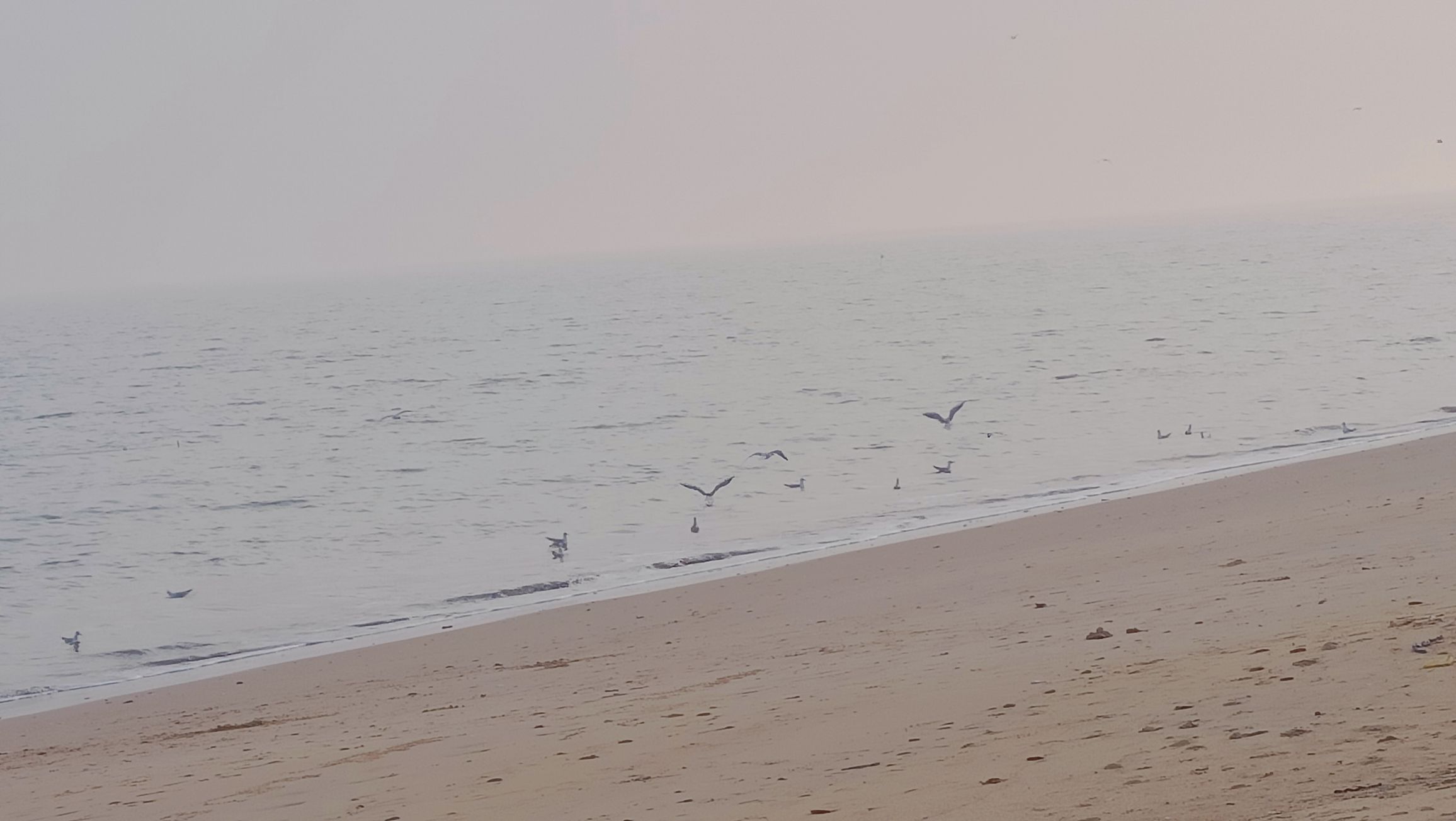 香水海海洋公园旅行图片 3