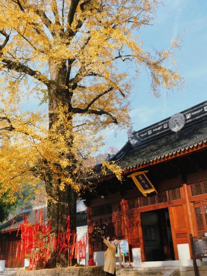灵峰旅游度假区旅行图片 1