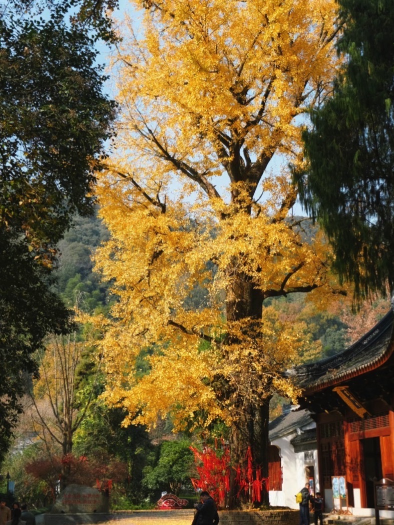 灵峰旅游度假区
