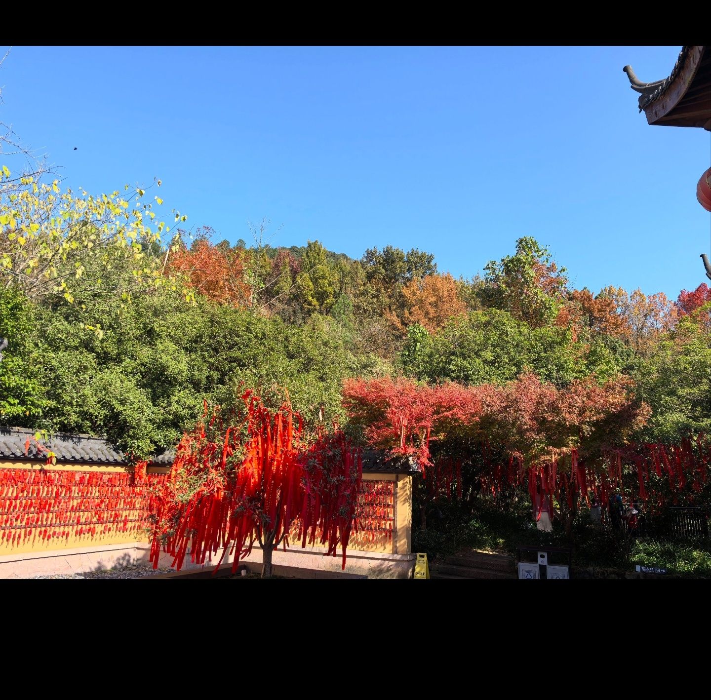 灵峰旅游度假区旅行图片 1