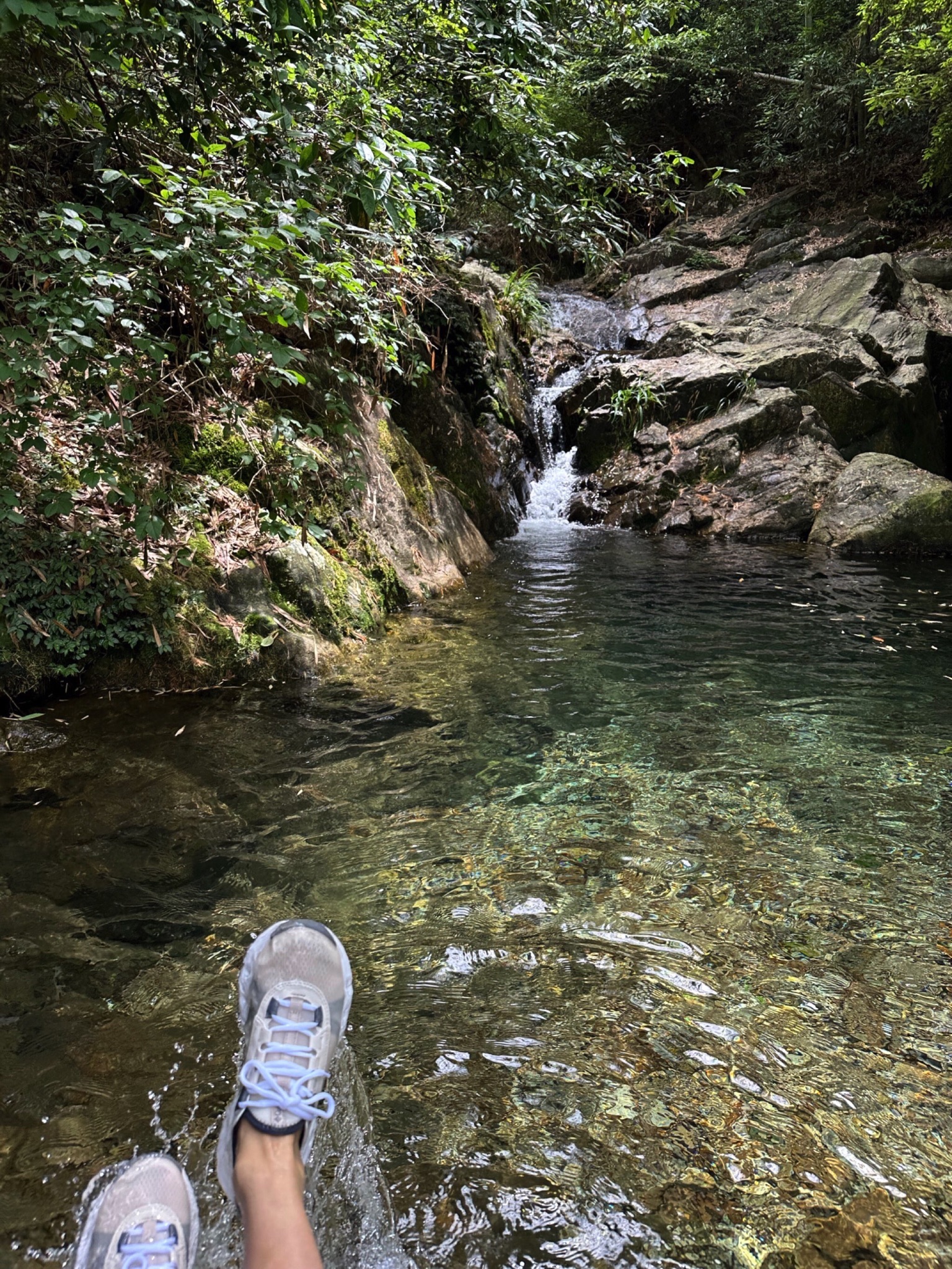 上虞竹隐陈溪景区旅行图片 1
