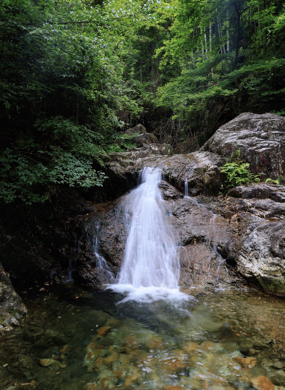 上虞竹隐陈溪景区旅行图片 3