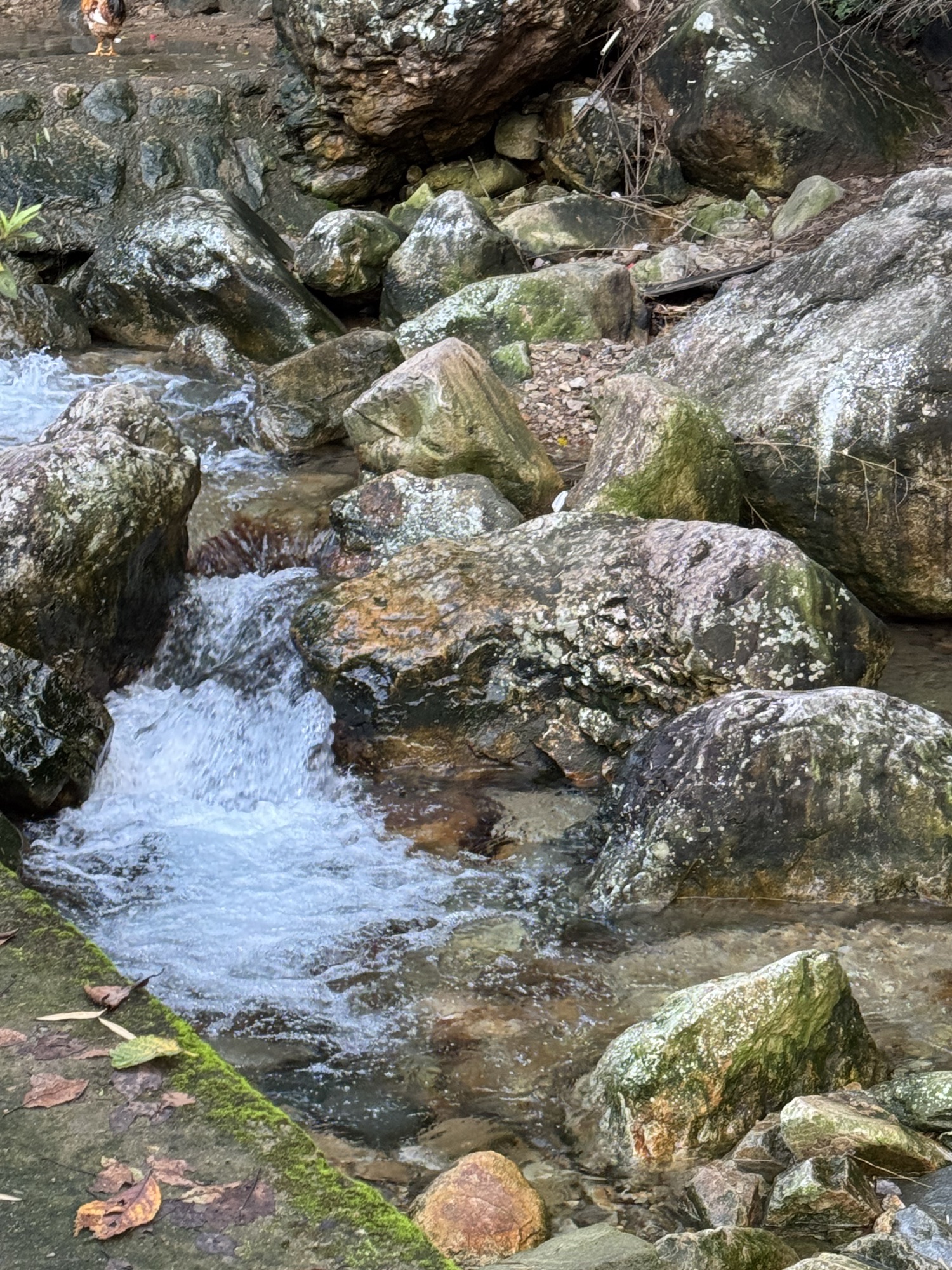 上虞竹隐陈溪景区旅行图片 2