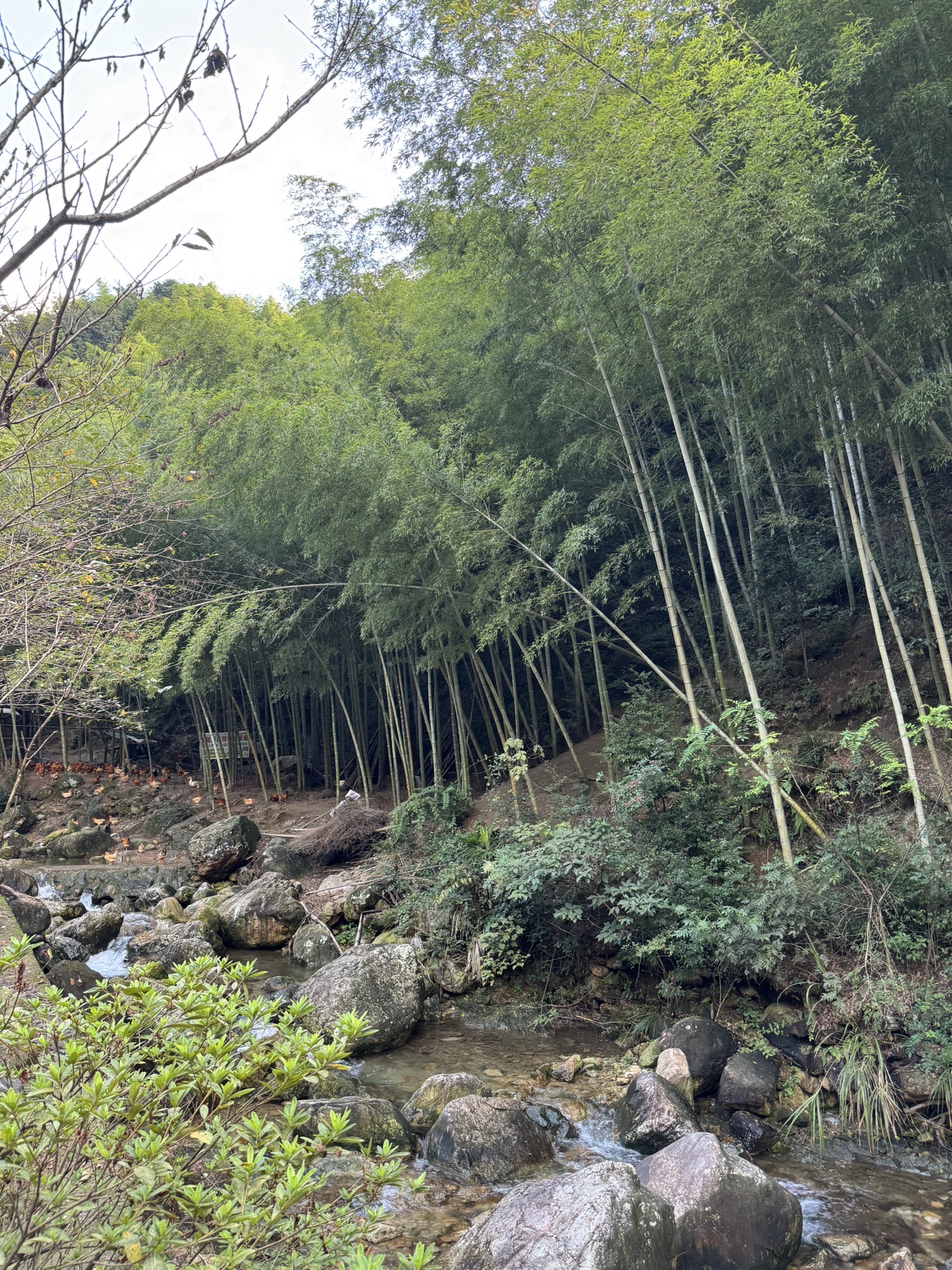 上虞竹隐陈溪景区旅行图片 1