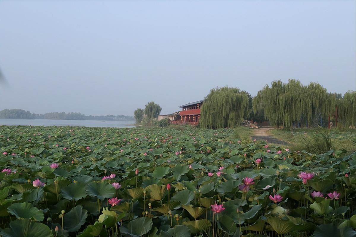 世泰湖省级湿地公园