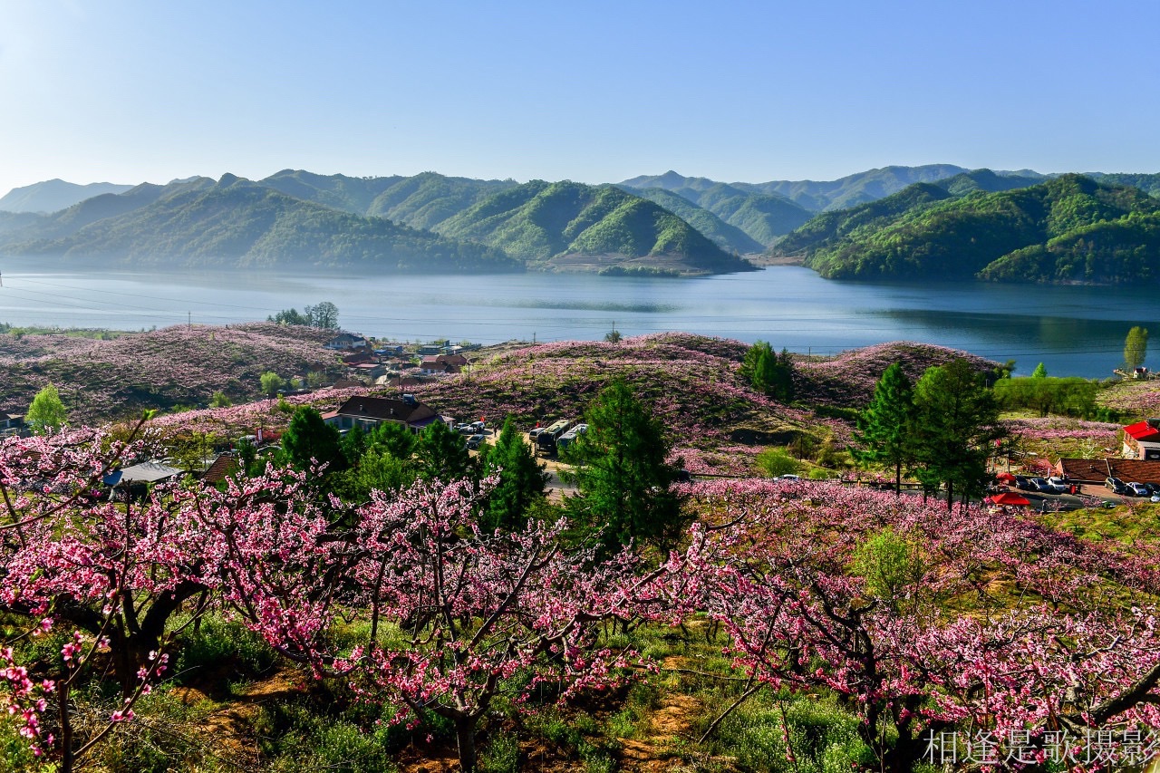 丹东桃花岛景点图片